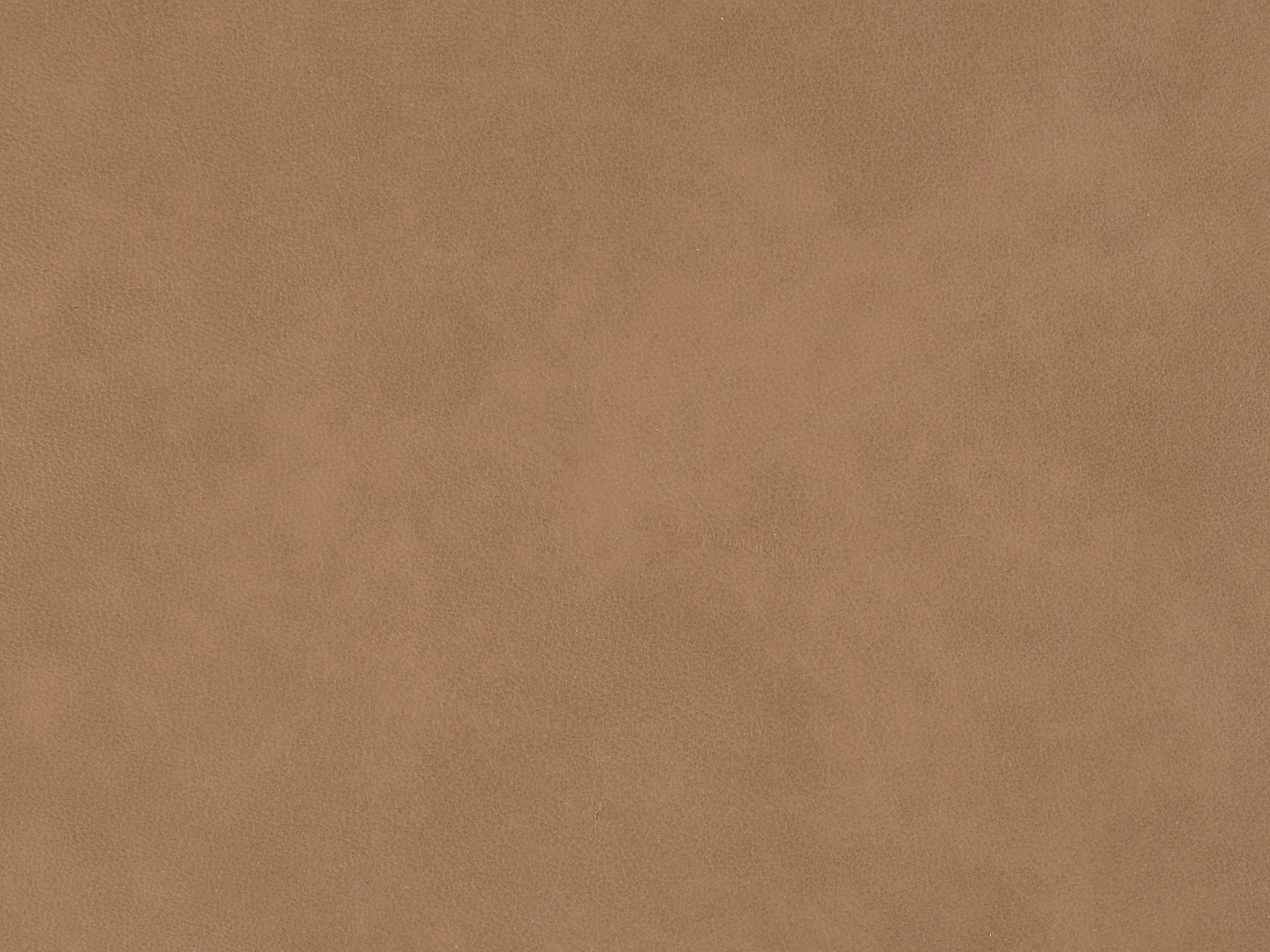 Bradington Young Leather 92200084 Bradington Young Hickory, NC