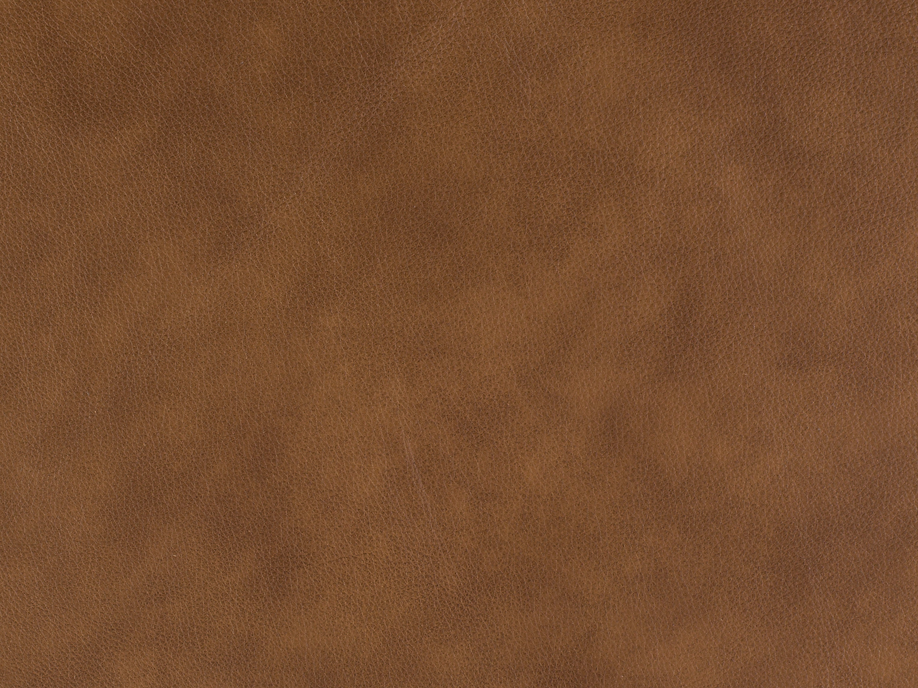 Bradington Young Leather 922000-85 - Bradington Young - Hickory, NC