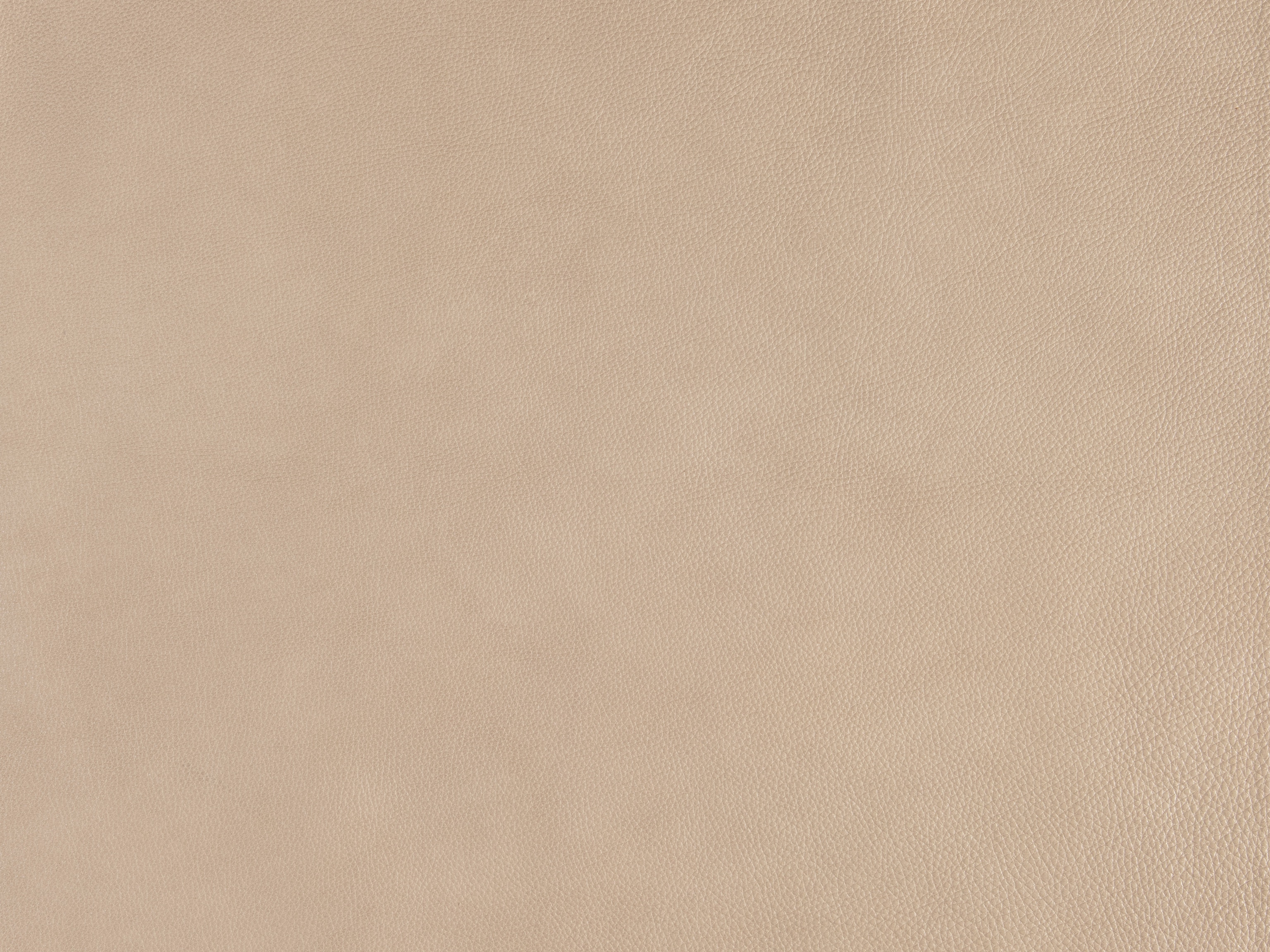 Beige 922100-81
