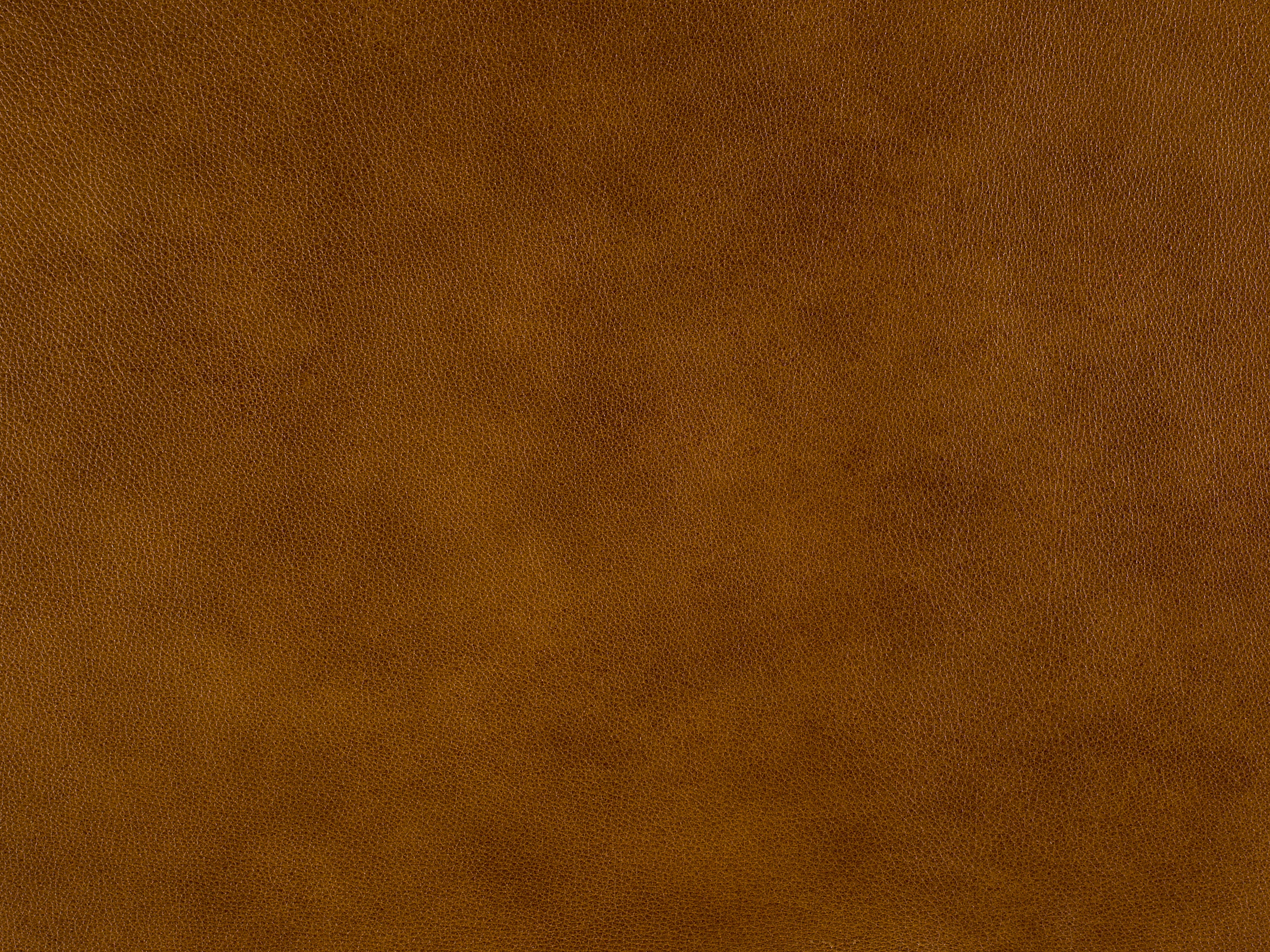 Bradington Young Leather 922100-85 - Bradington Young - Hickory, NC