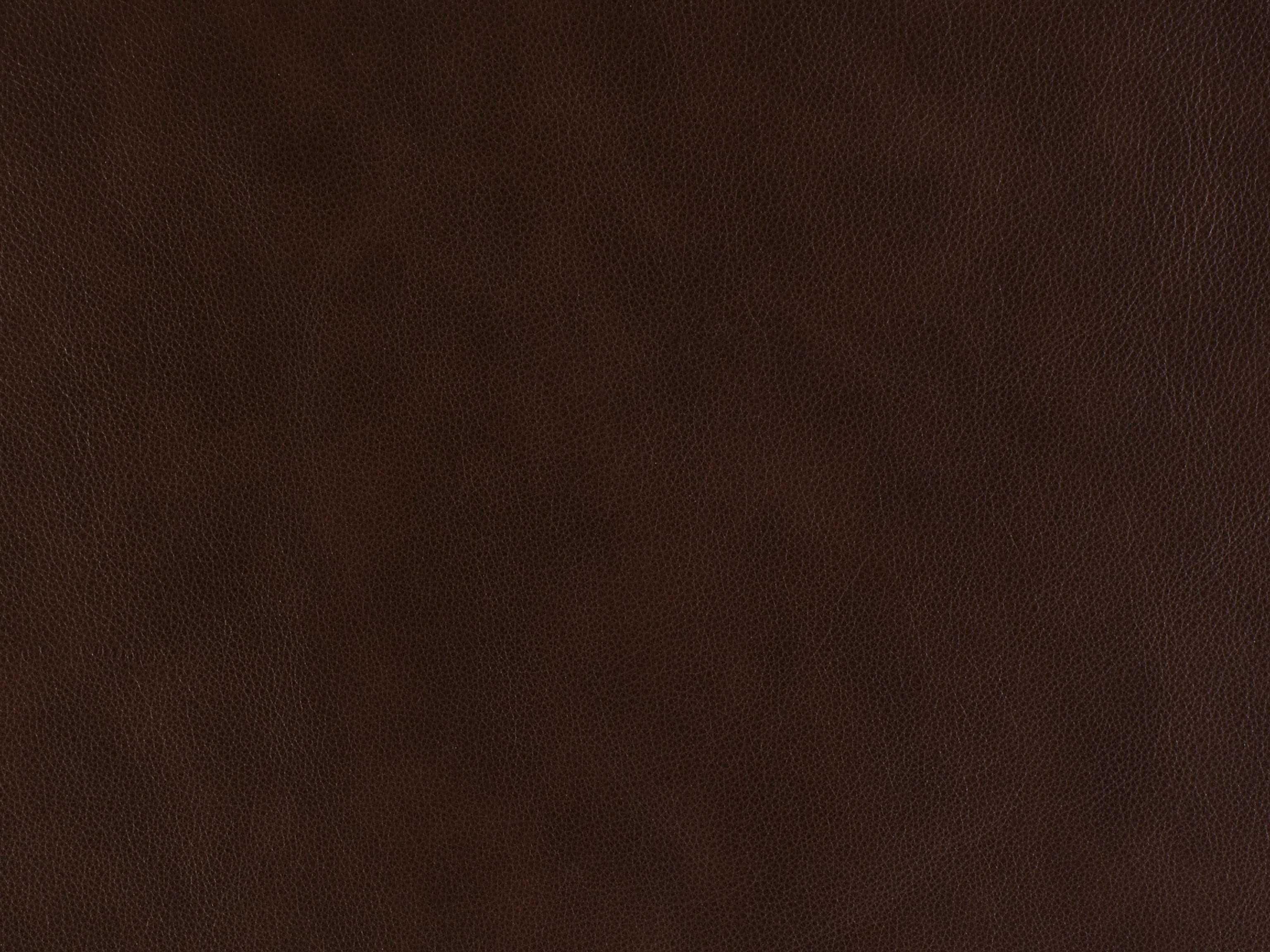  Leather 922900-88