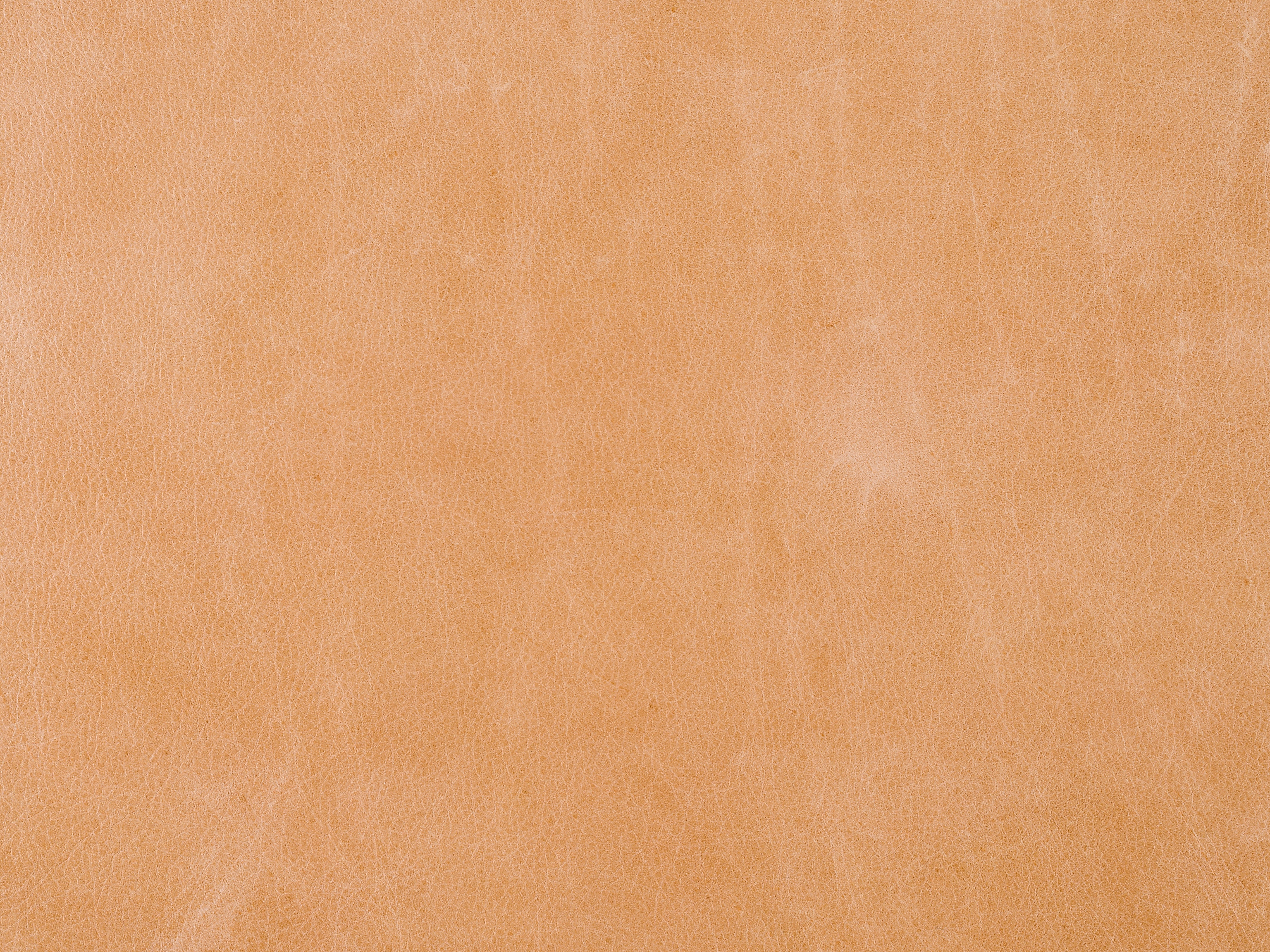 Taupe 924000-83