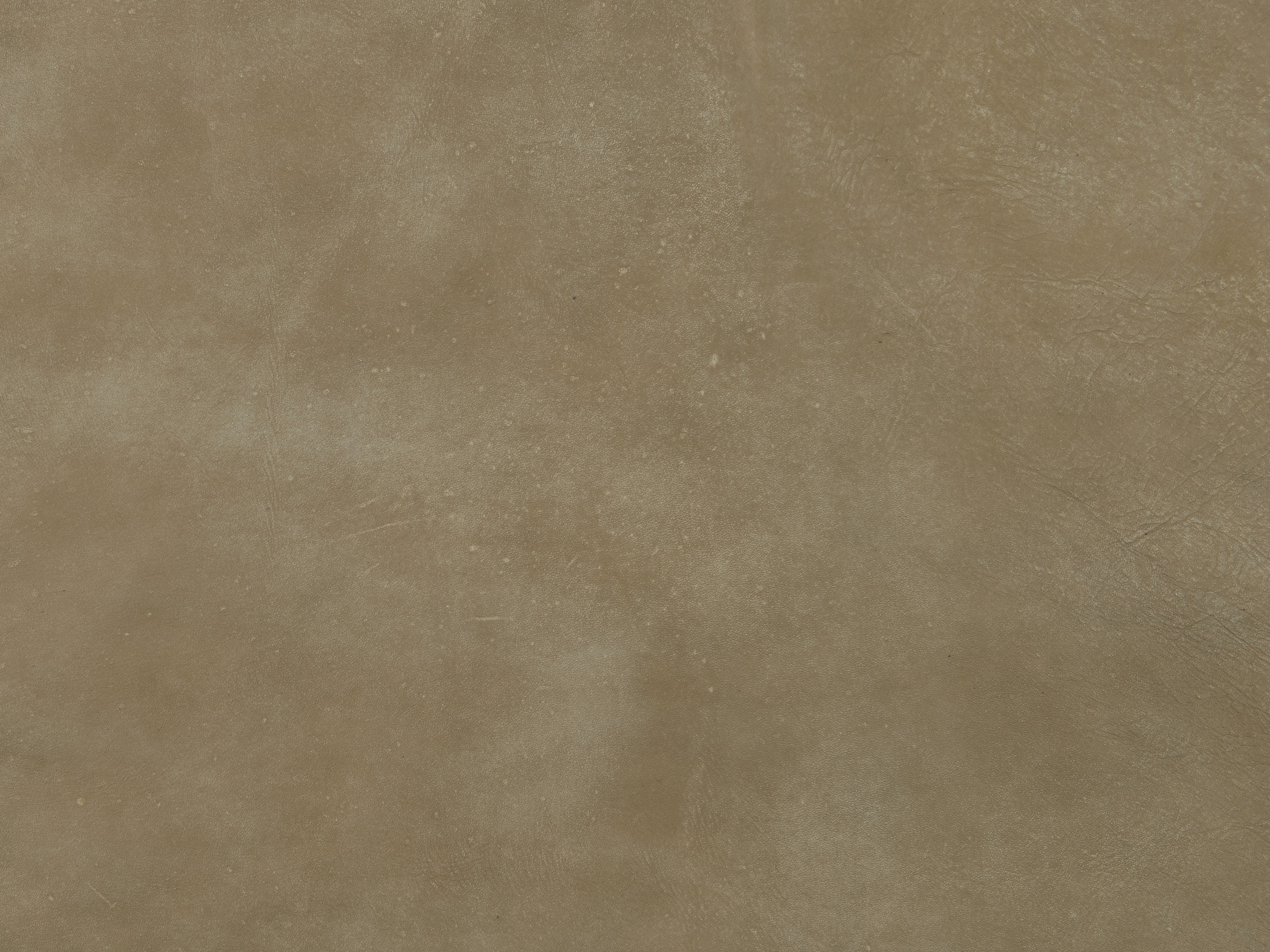 Taupe Leather 928800-83