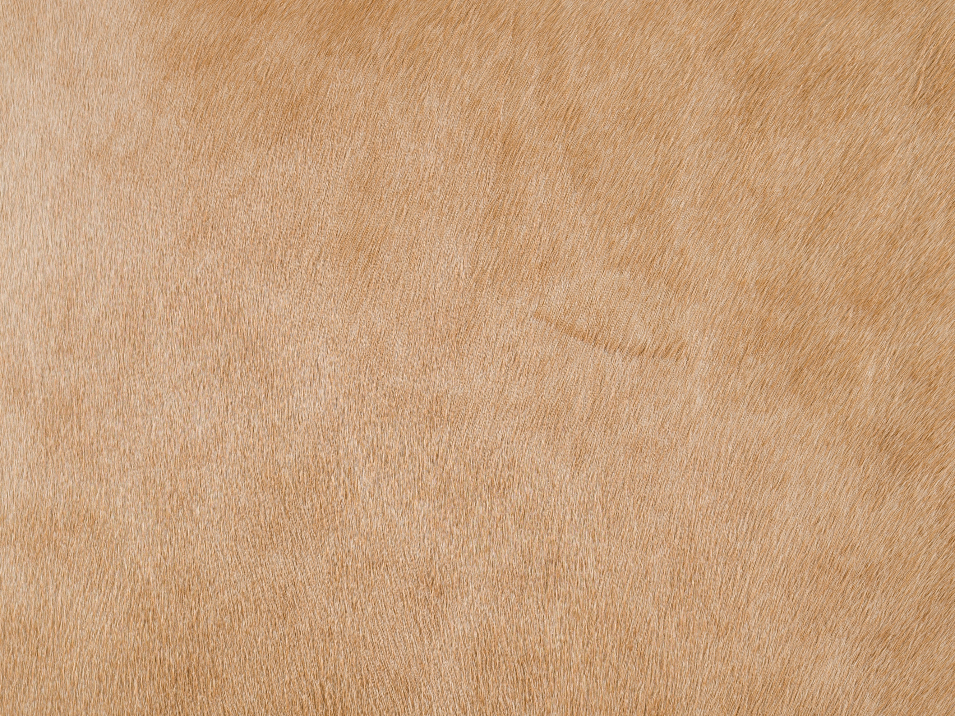 Bradington Young 972500-83 - Bradington Young - Hickory, NC