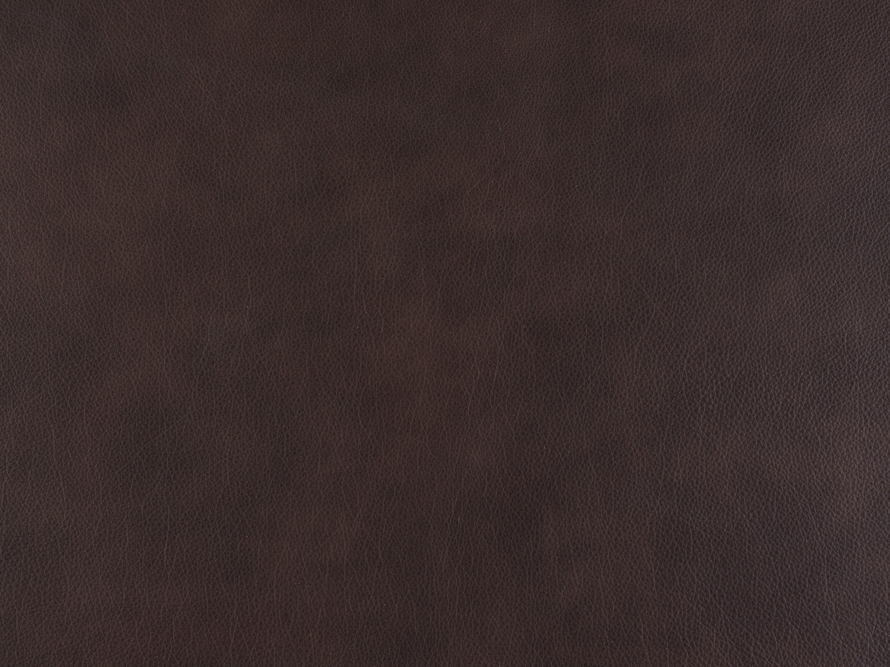  Leather 980013-89