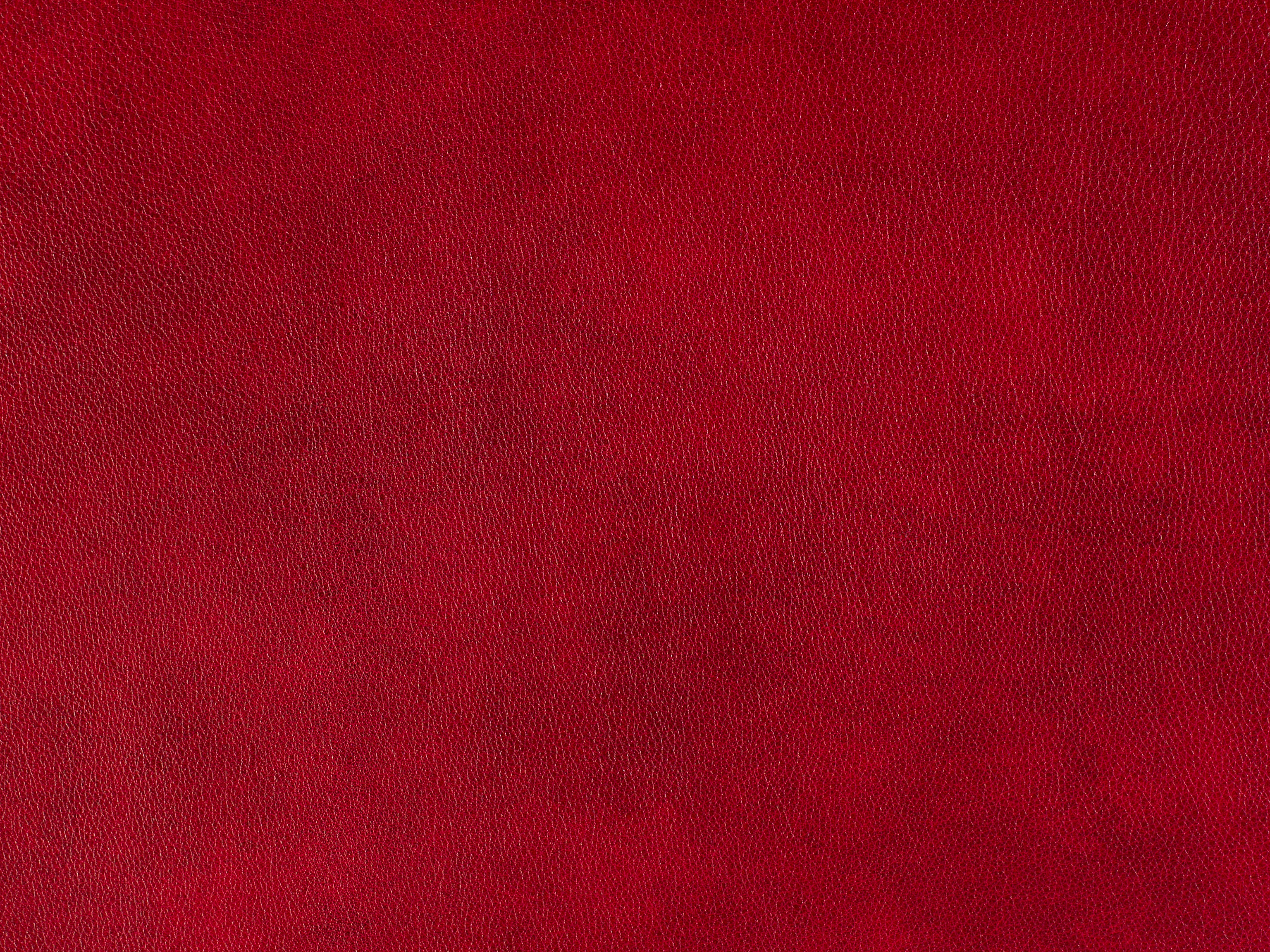 Bradington Young Leather 98001565 Bradington Young Hickory, NC