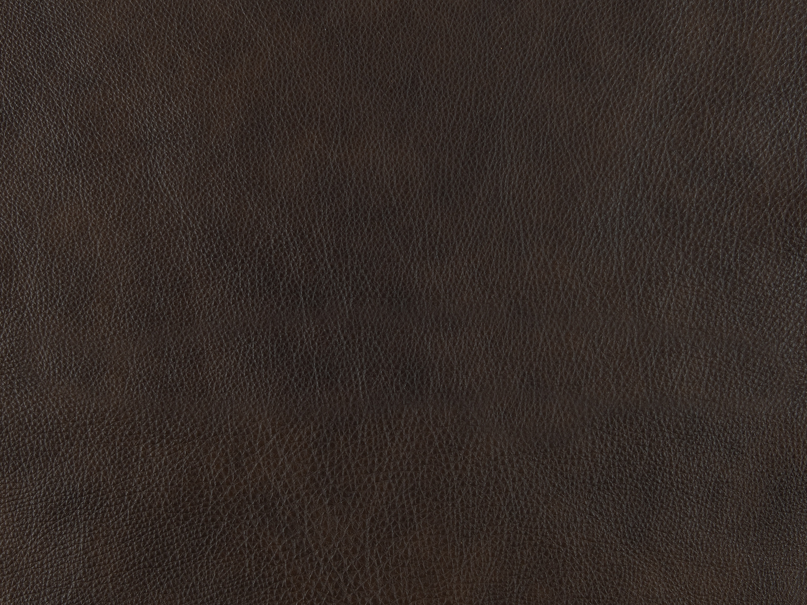  Leather 980018-88