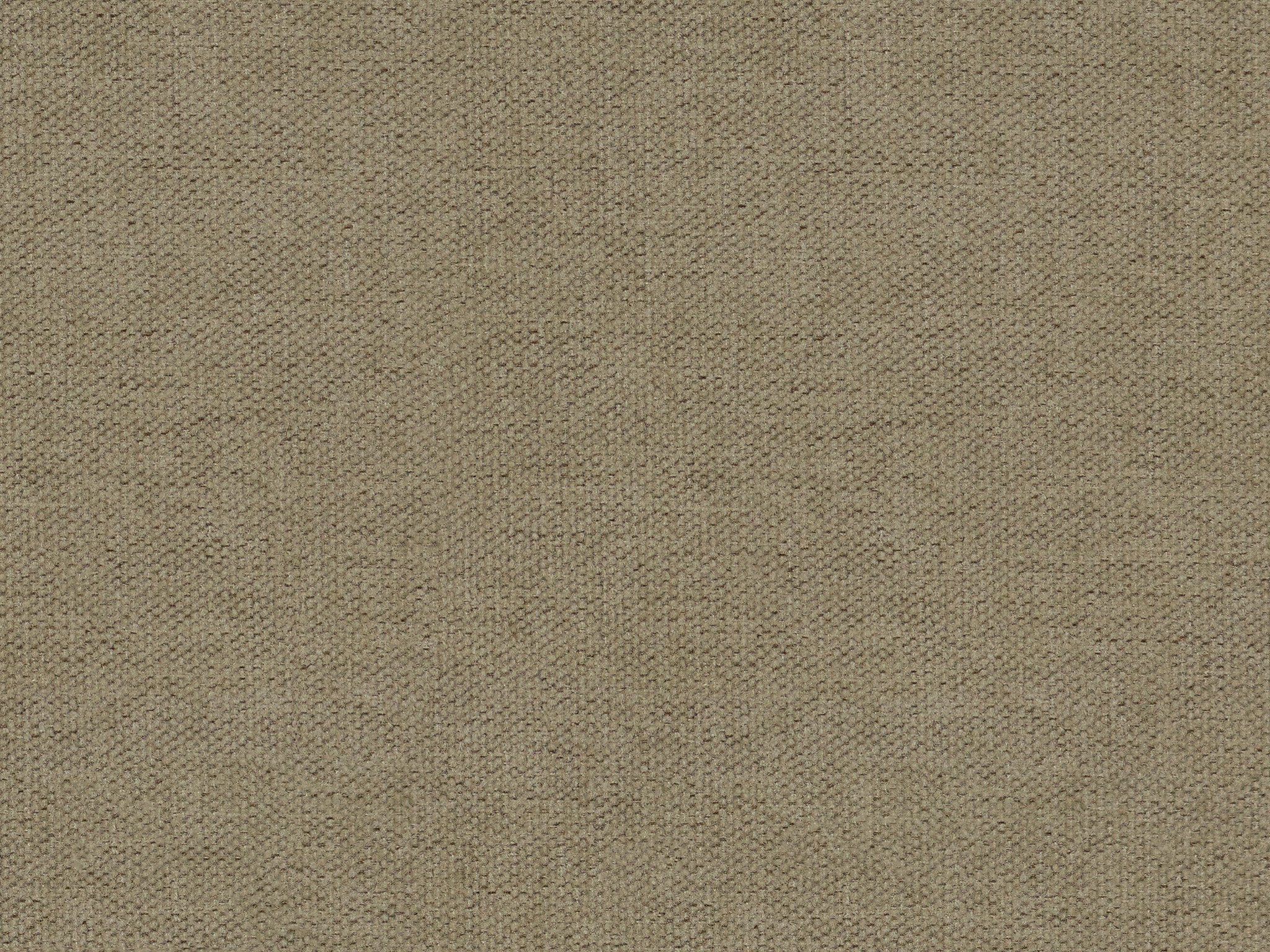 Taupe 18073