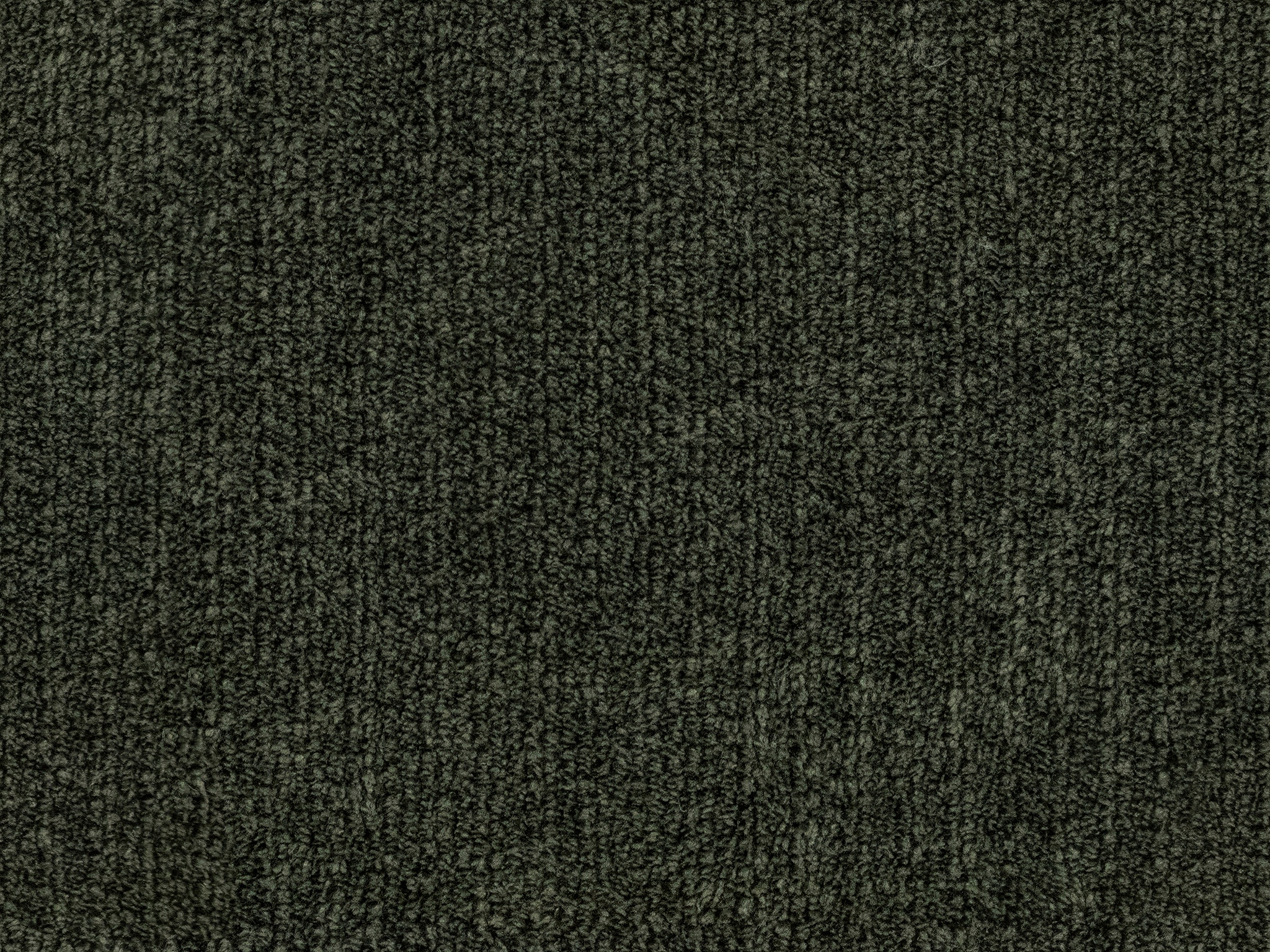 Charcoal 18263