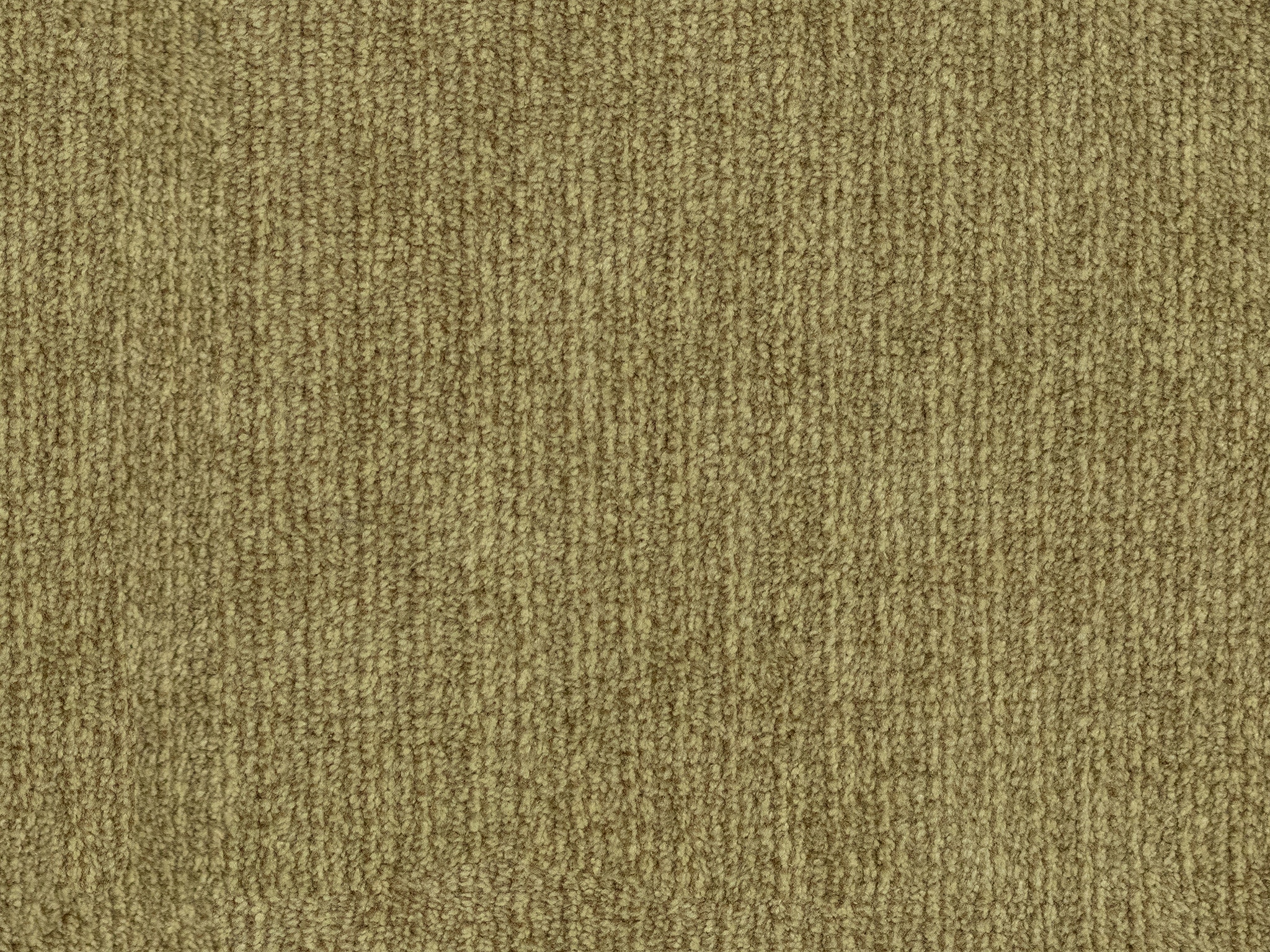 Wheat 18269
