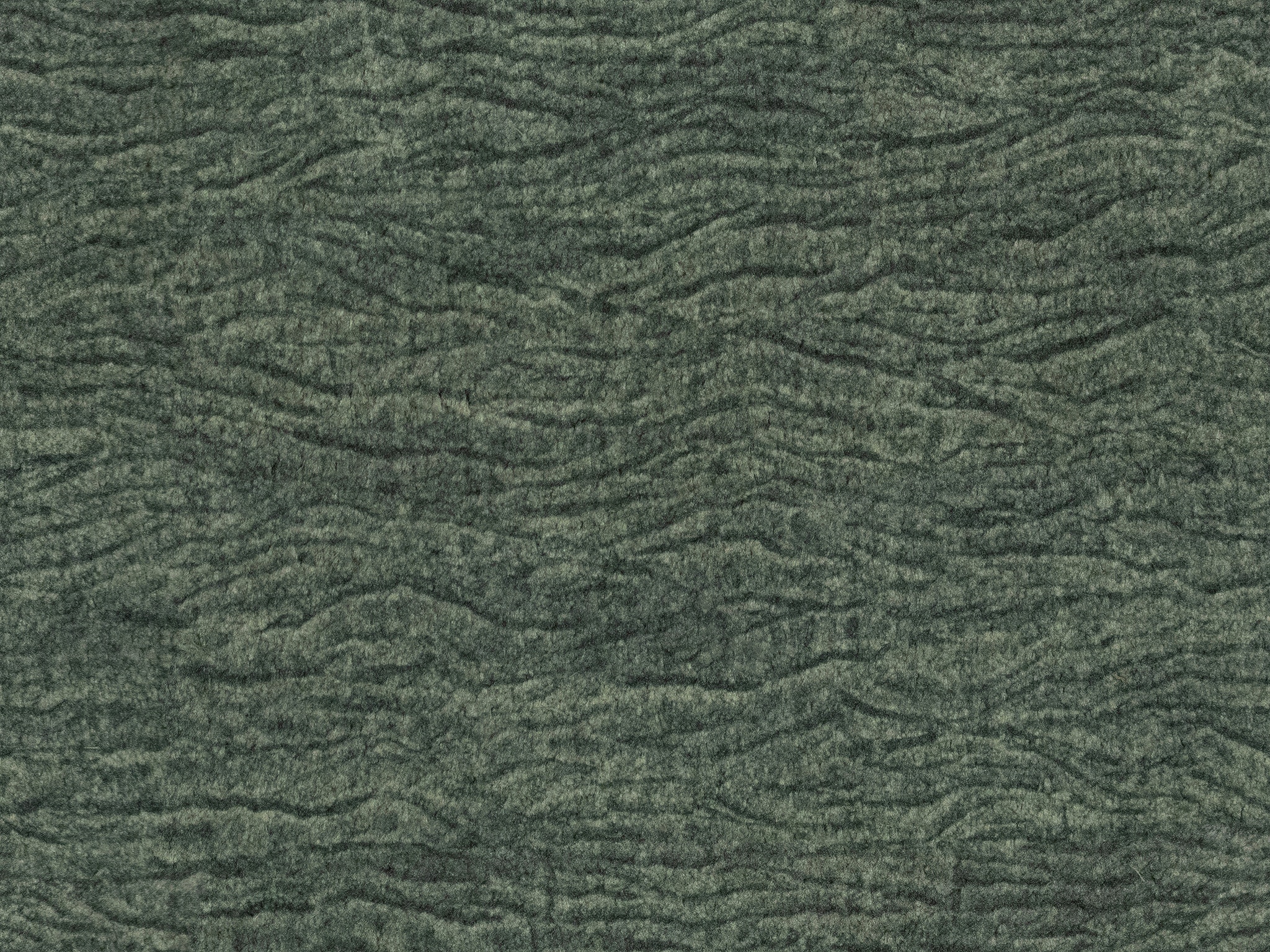 Charcoal 18373