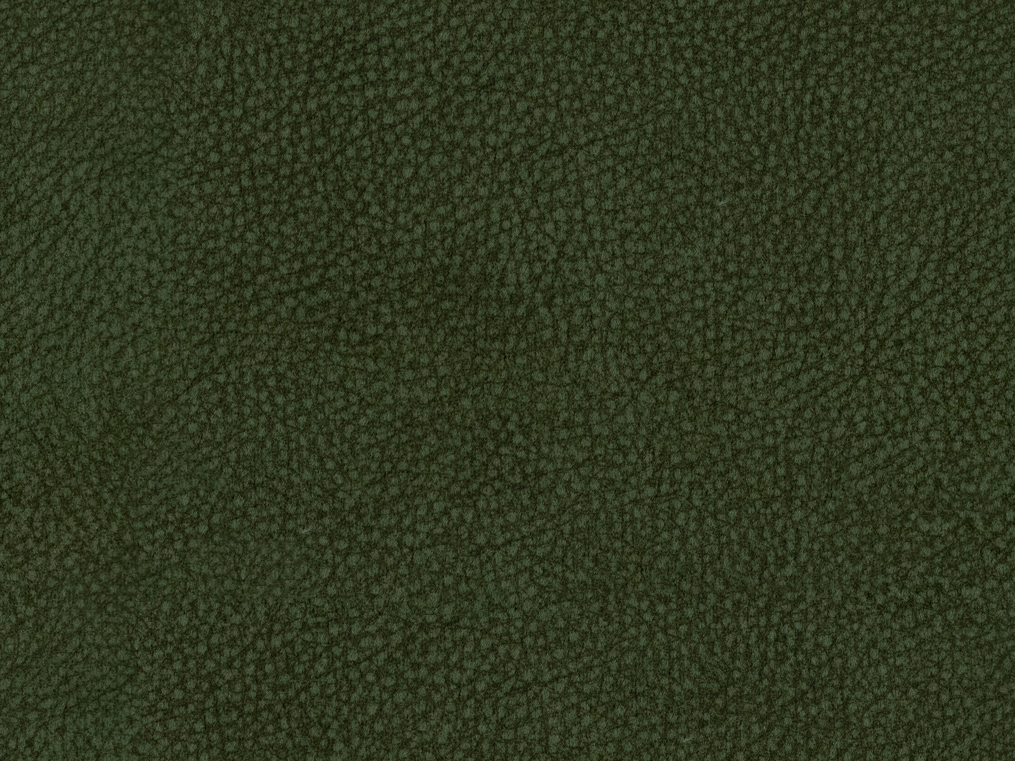 Olive 18441