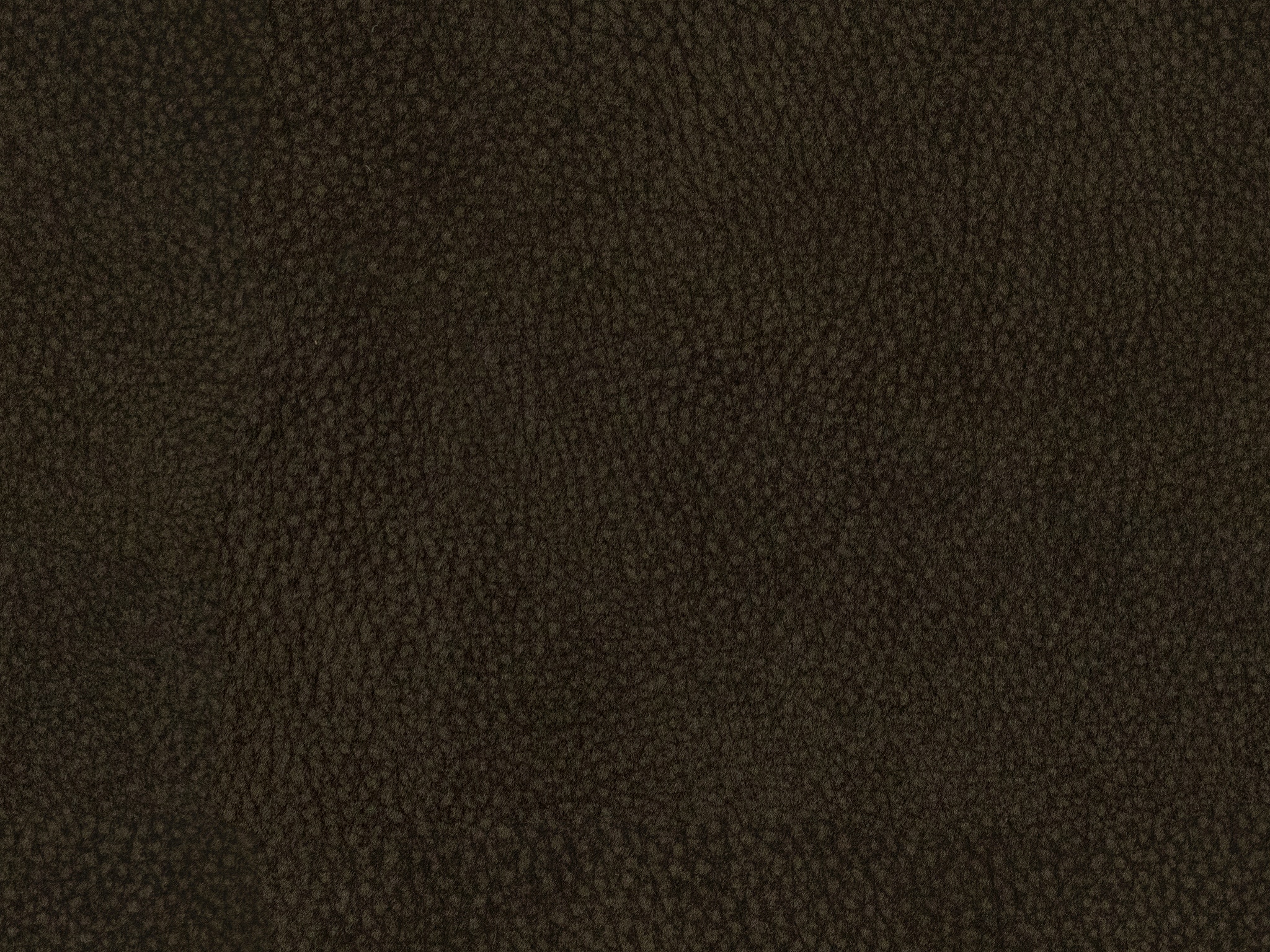 Bark 18446