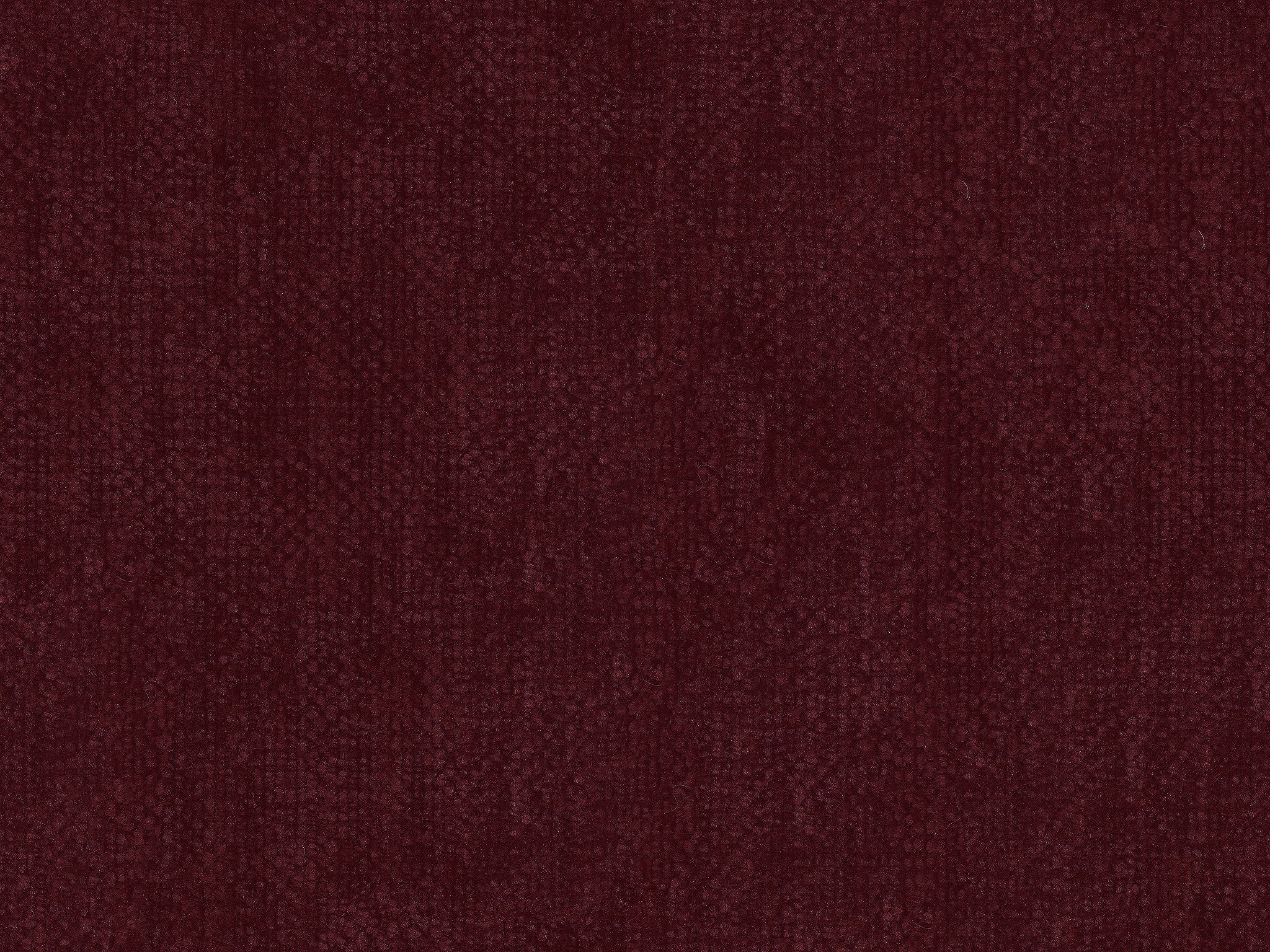 Merlot 19668