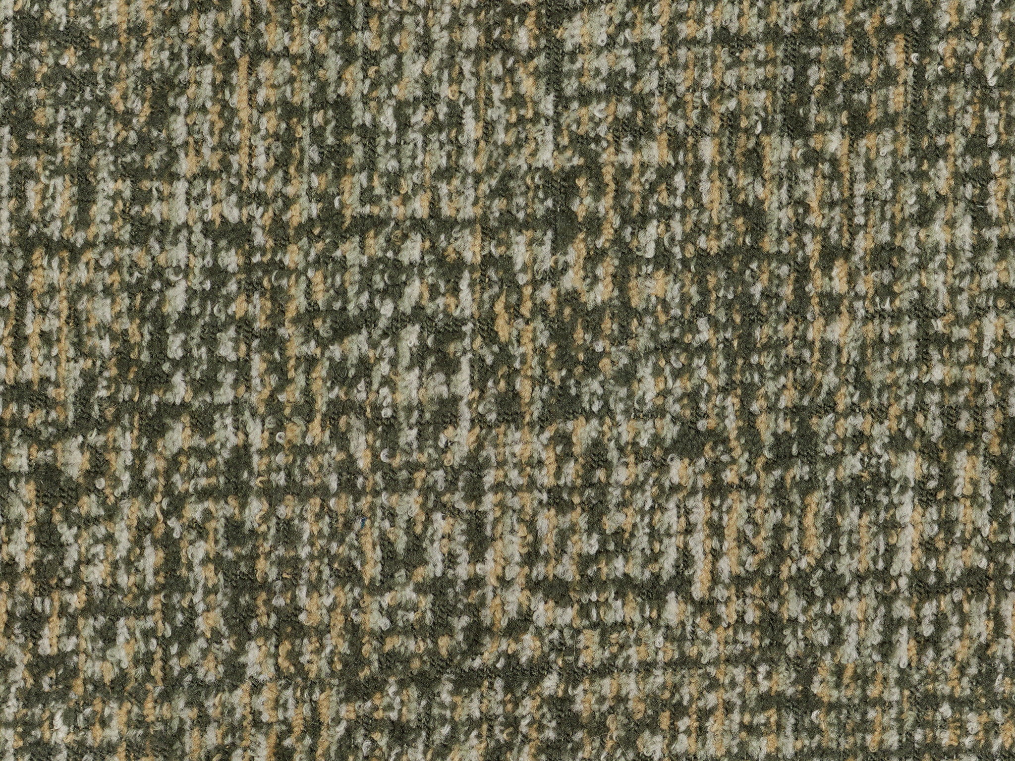 Olive 19761