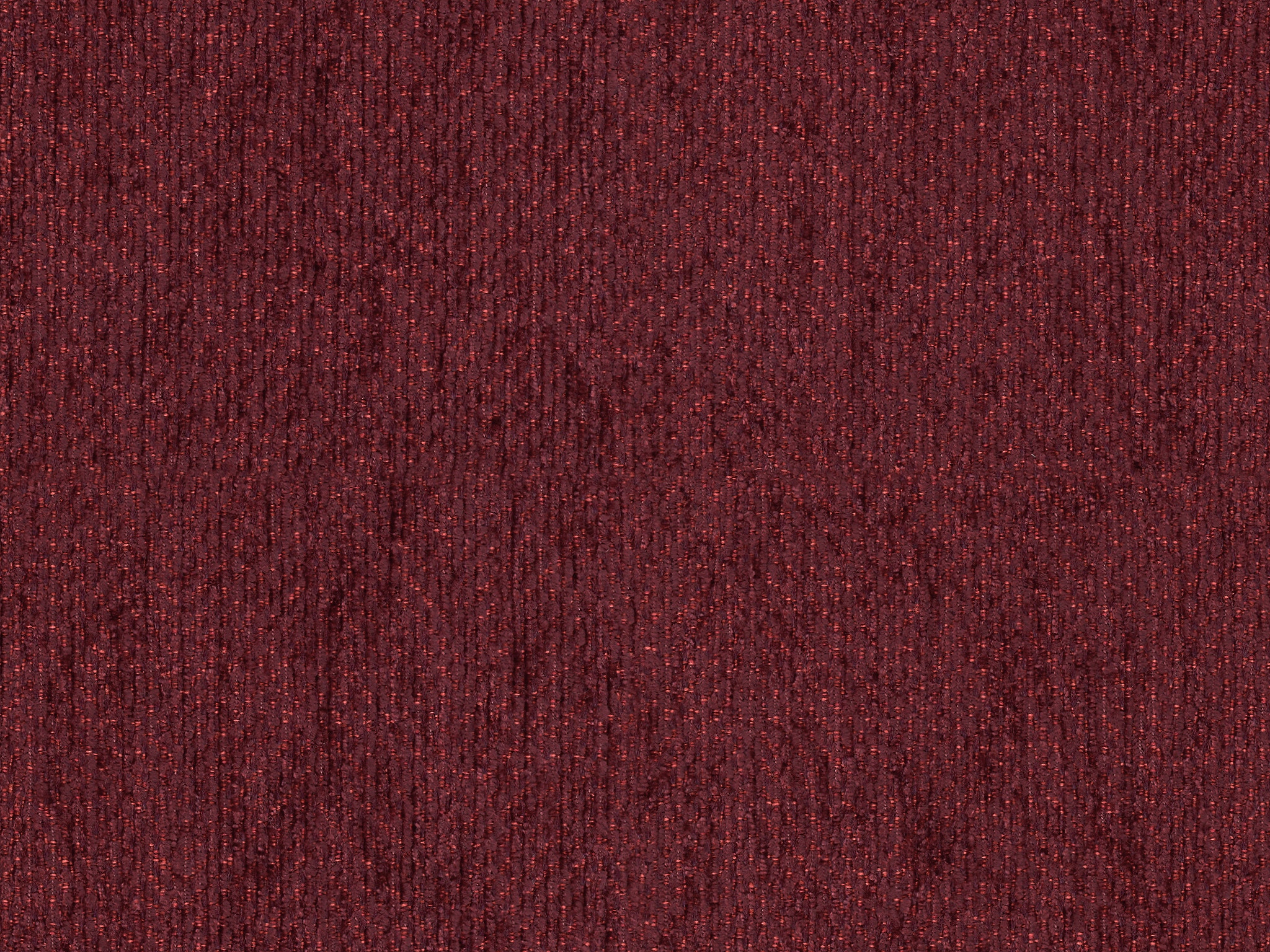   20088