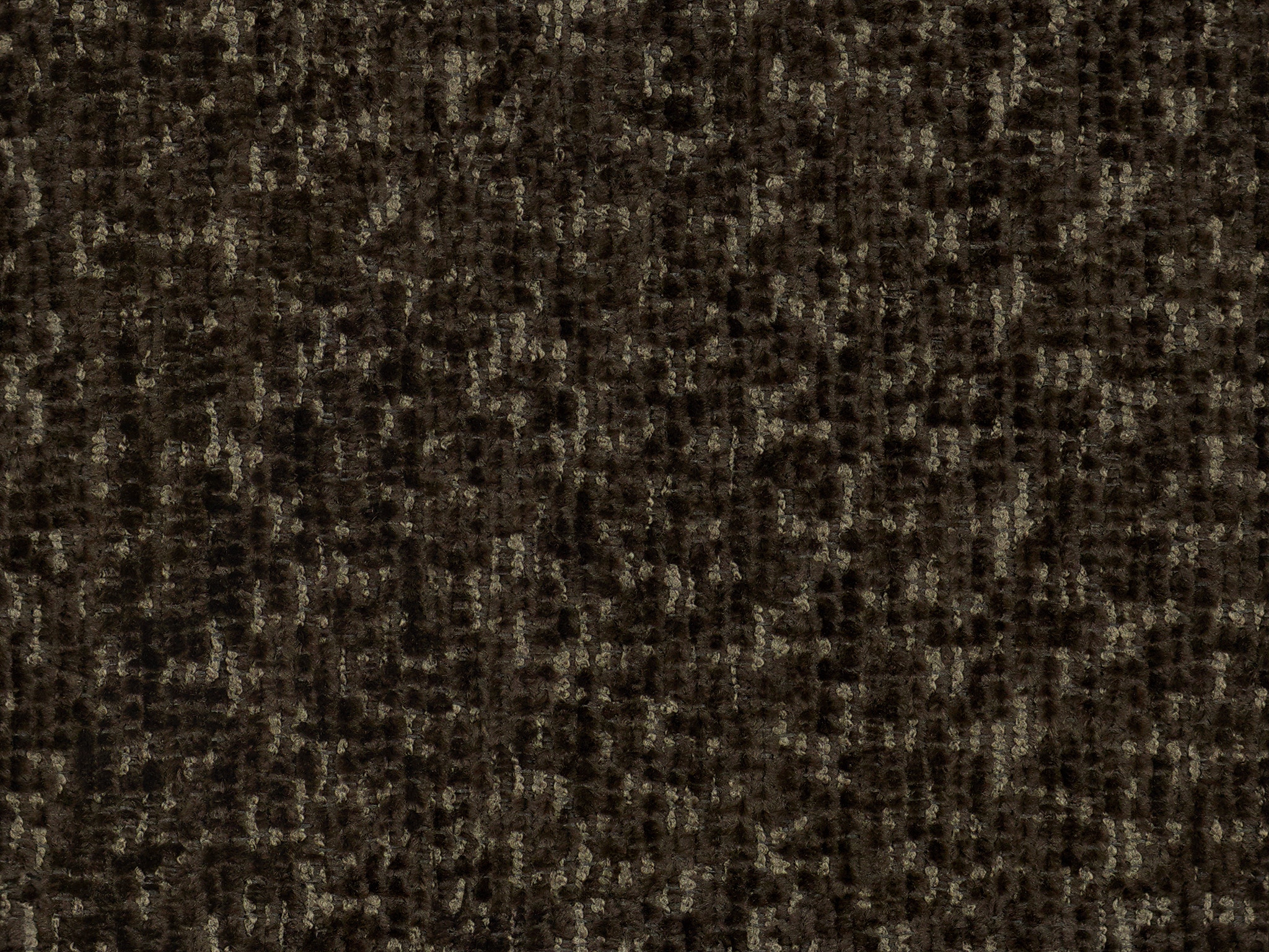   20096