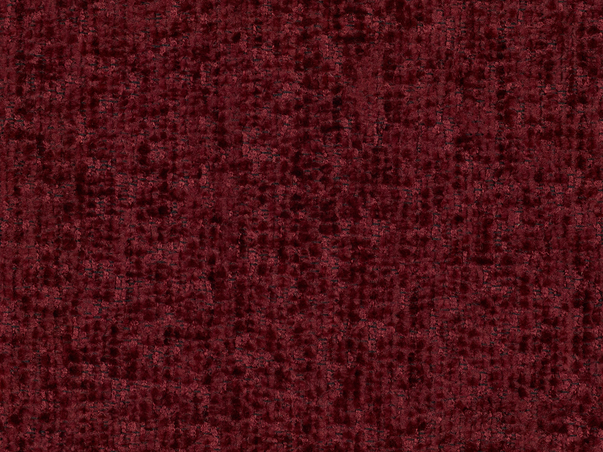   20098