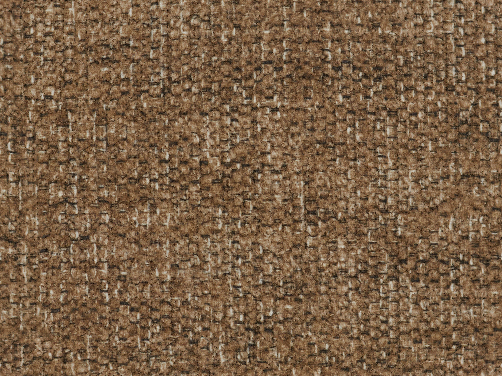 Brown 20186