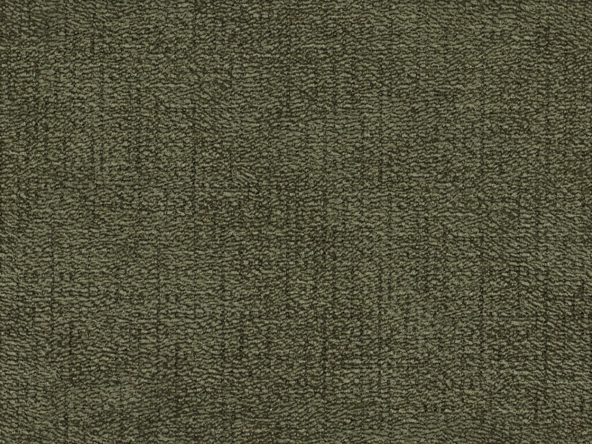 Basil 20331