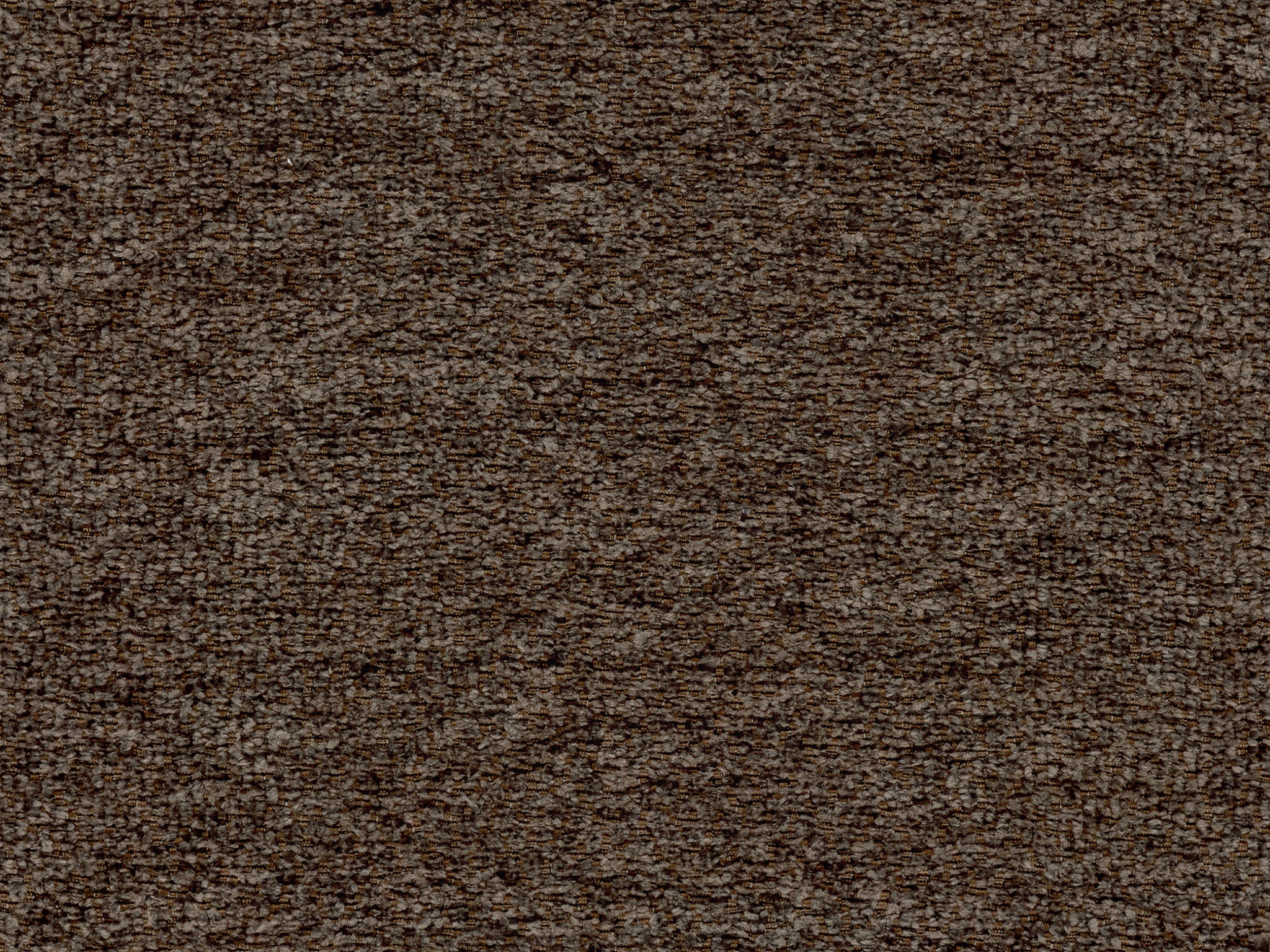   20406