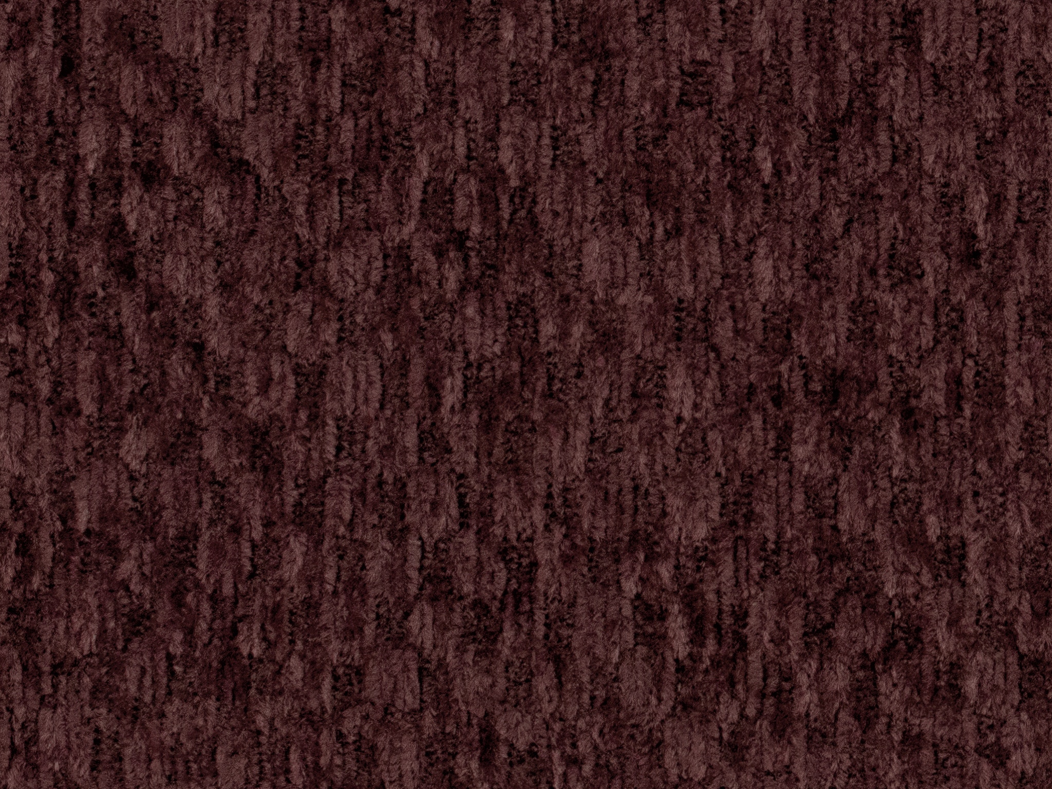   21698