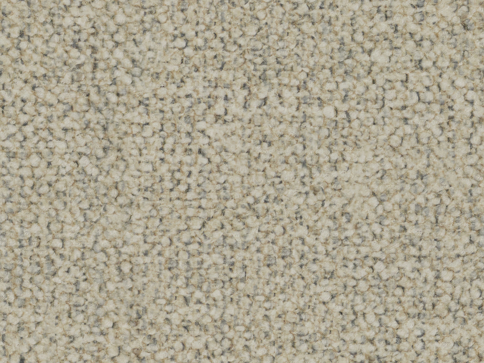   21809