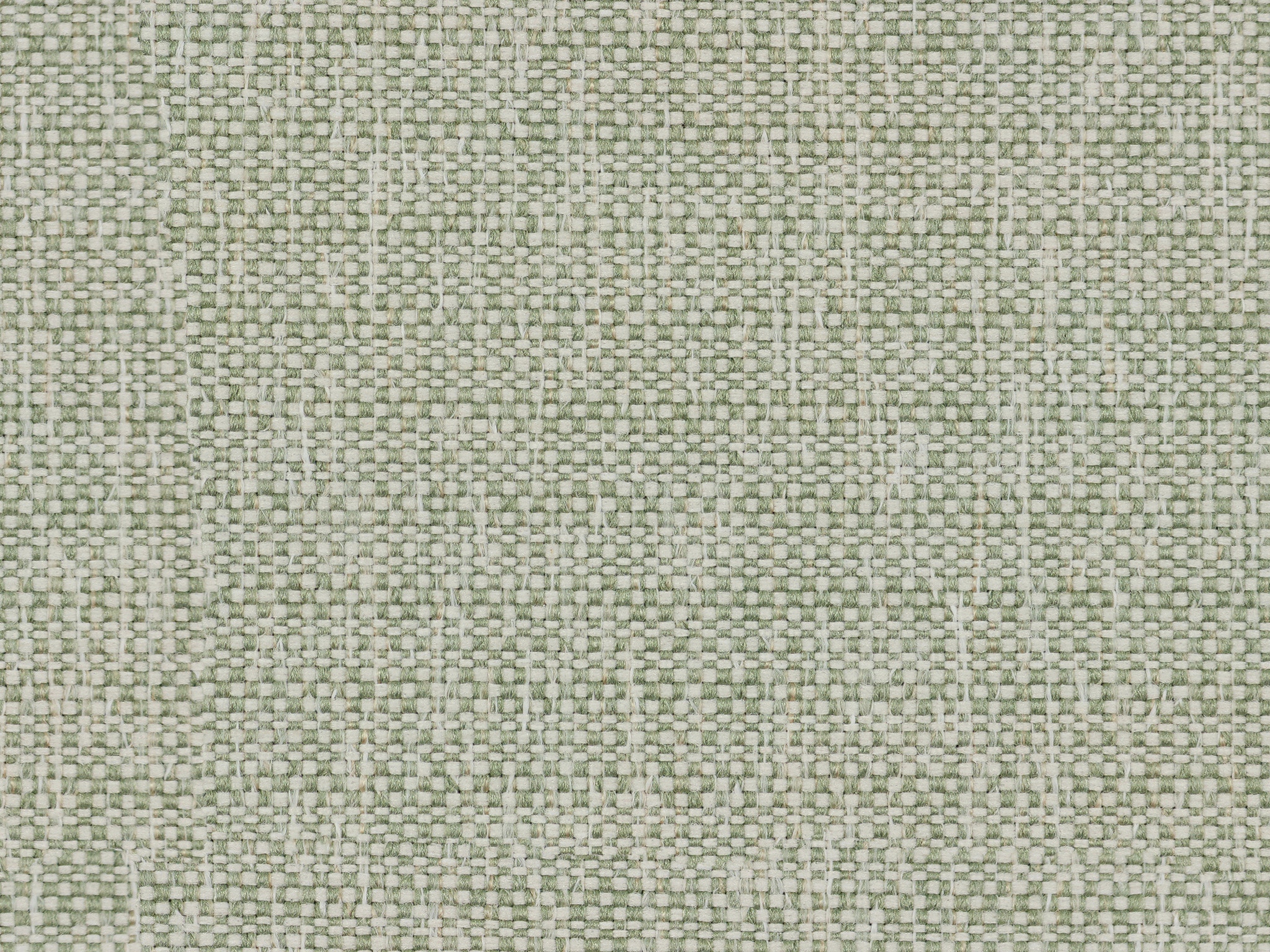 Leaf 22061