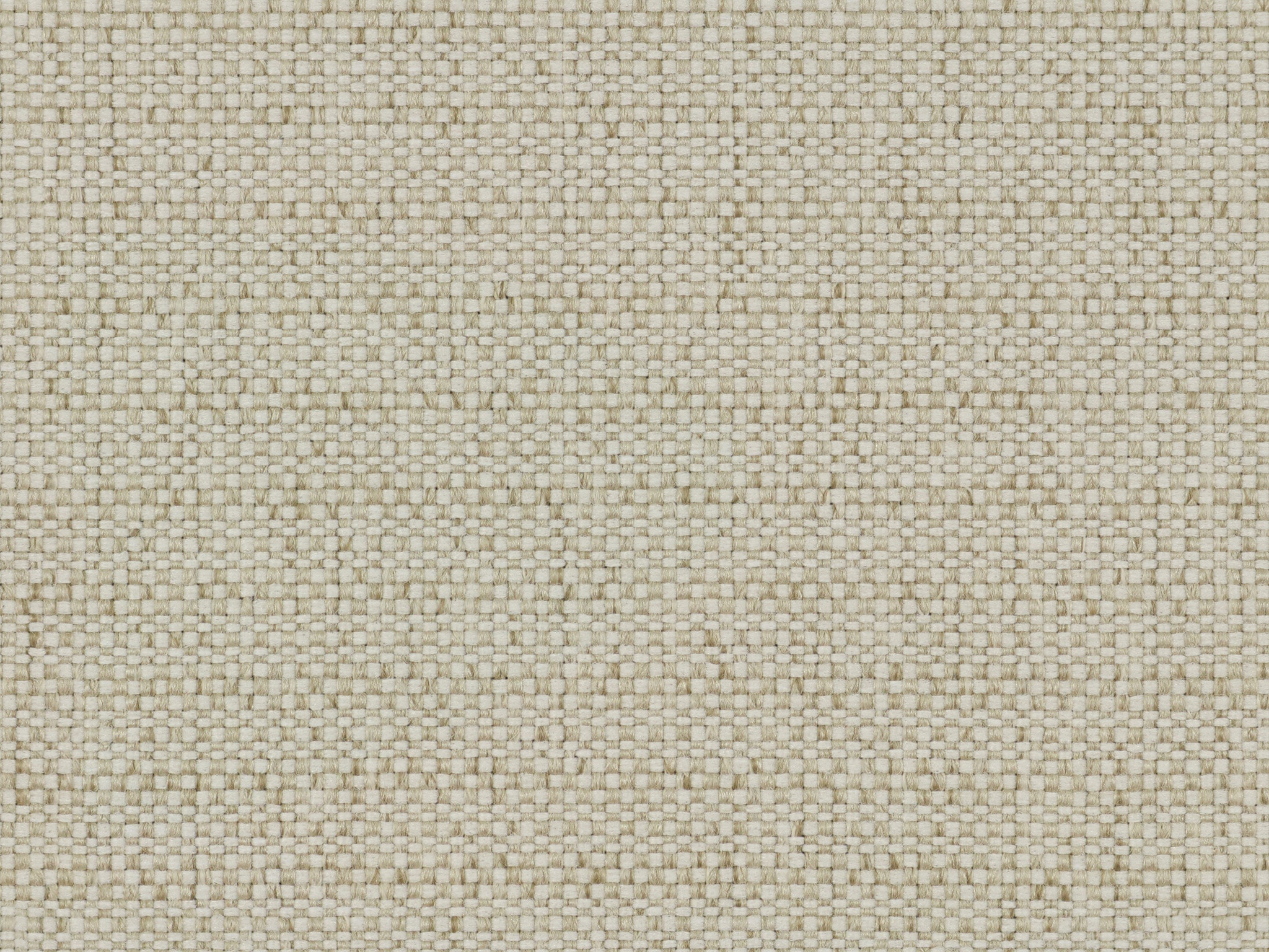 Bone 22069