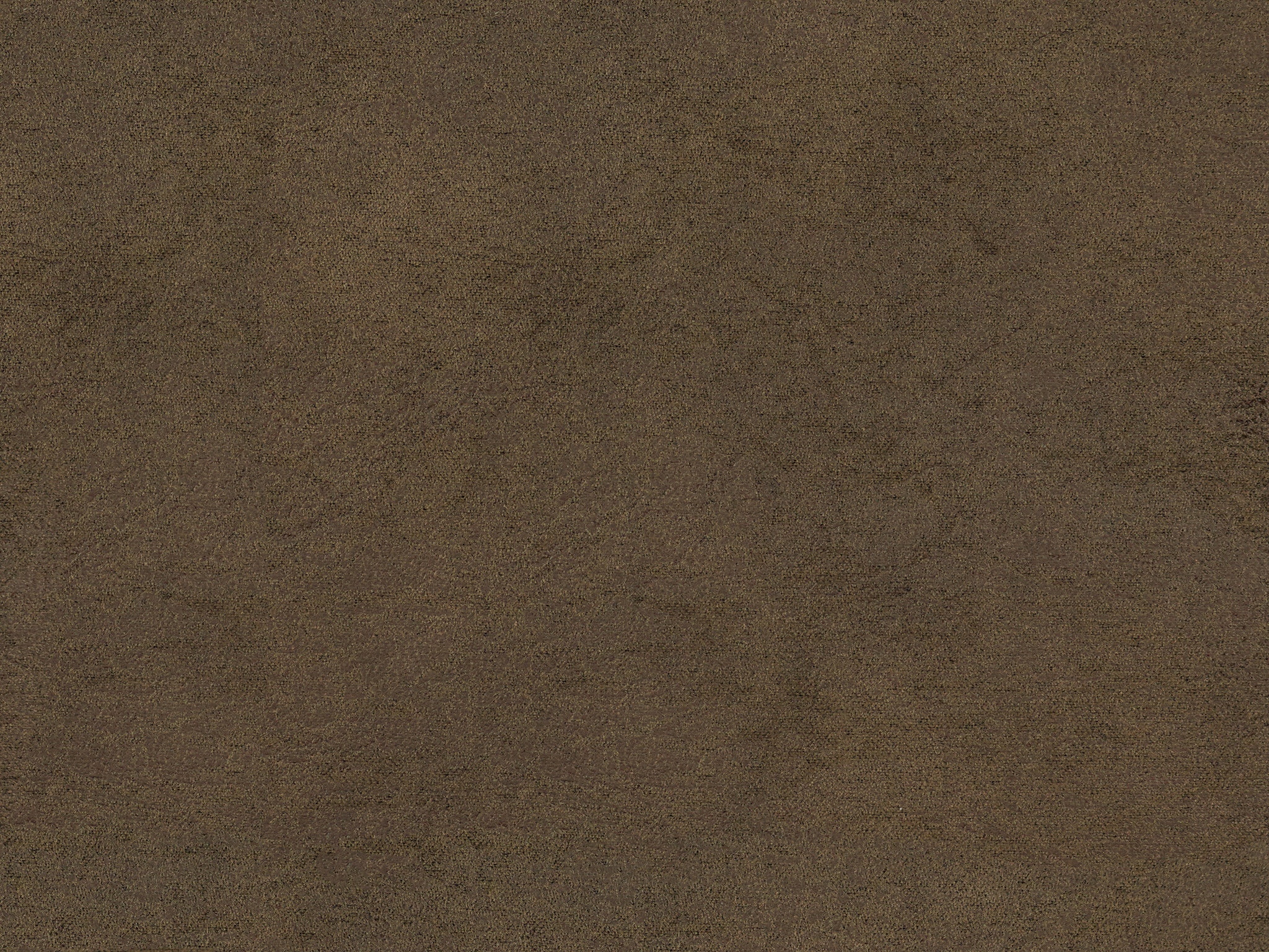 Truffle 22806