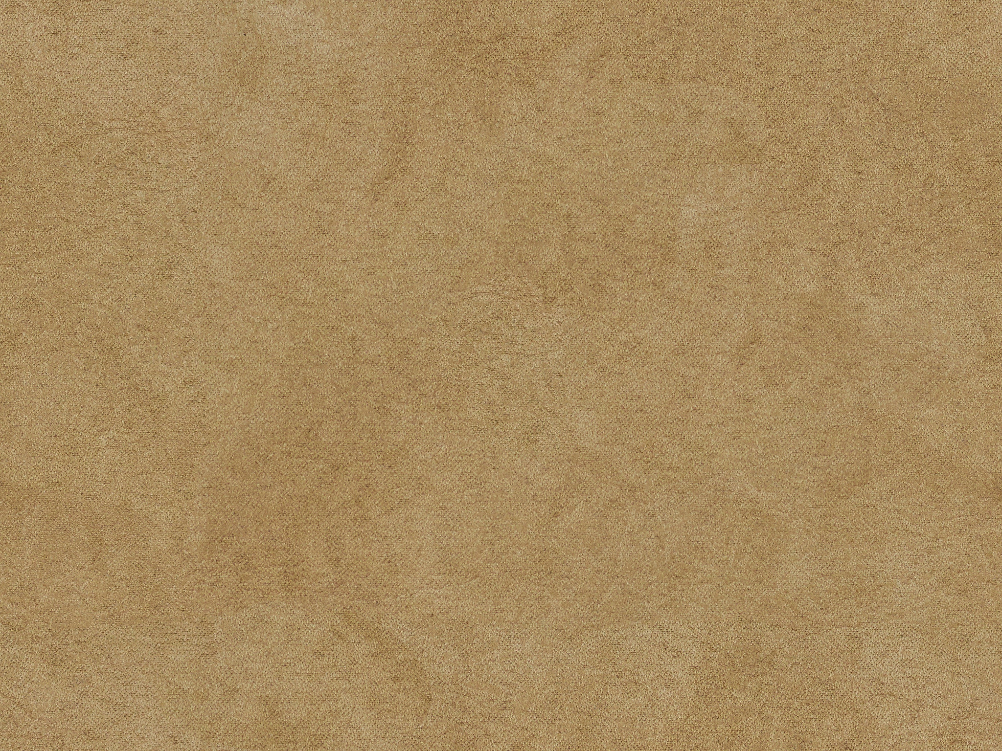 Fawn 22809