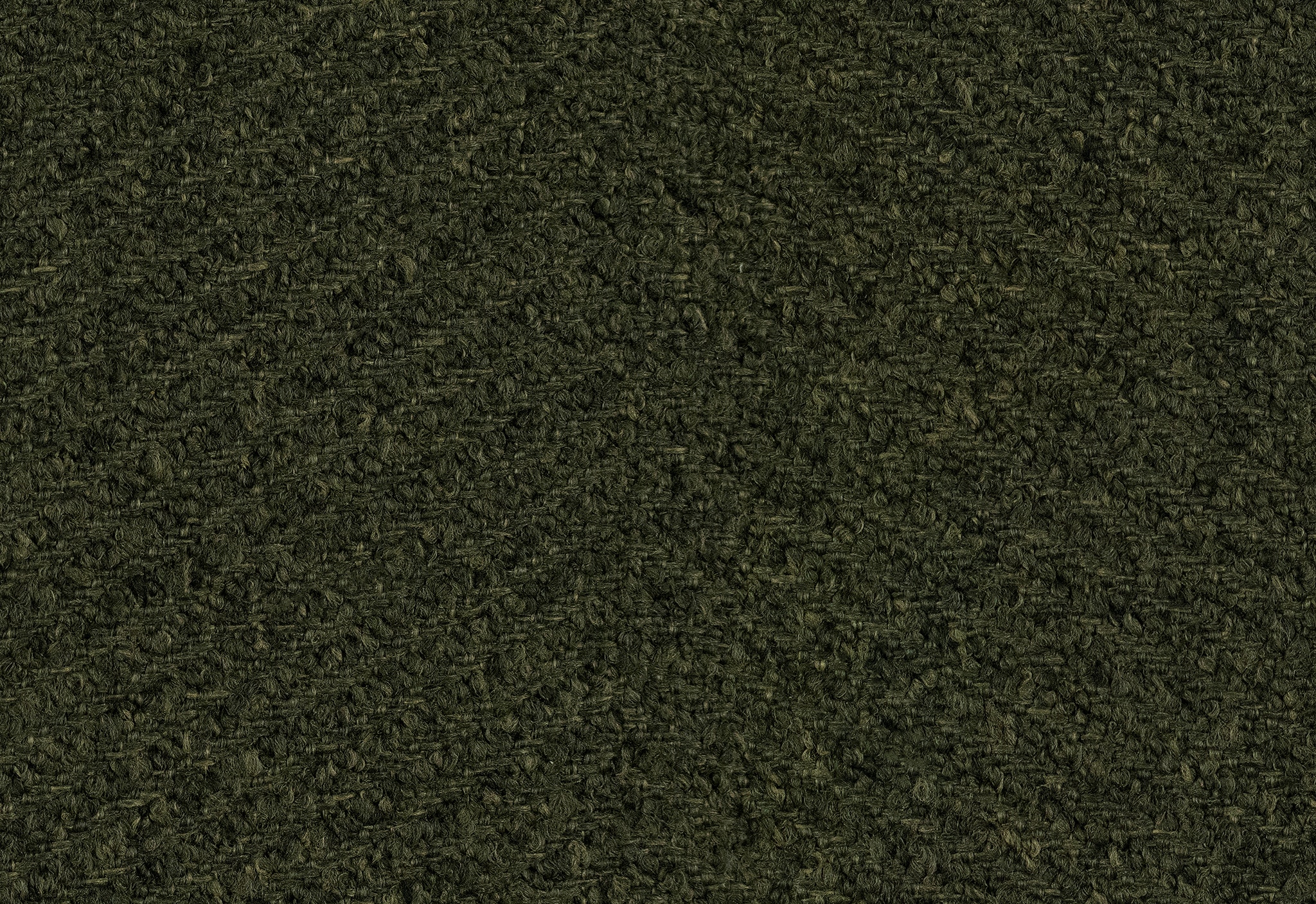 Olive 23511