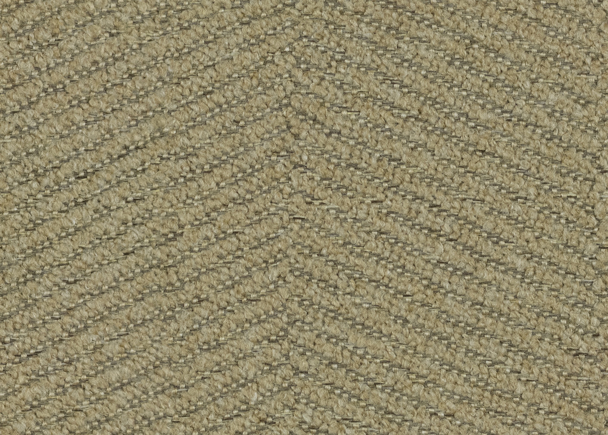   23519