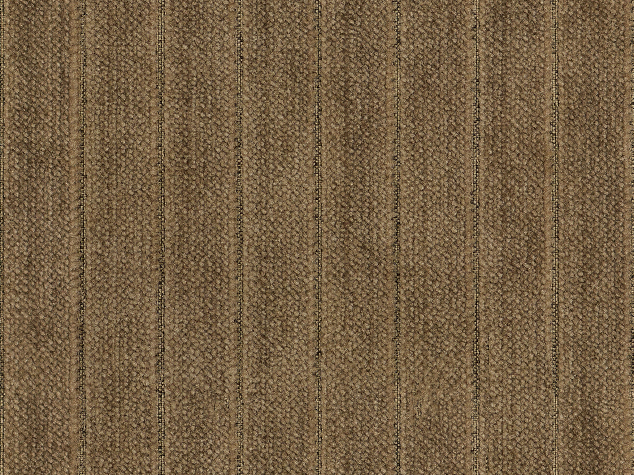   24529