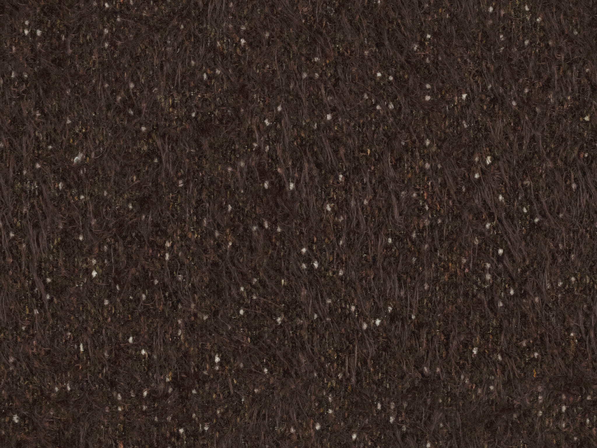   24998