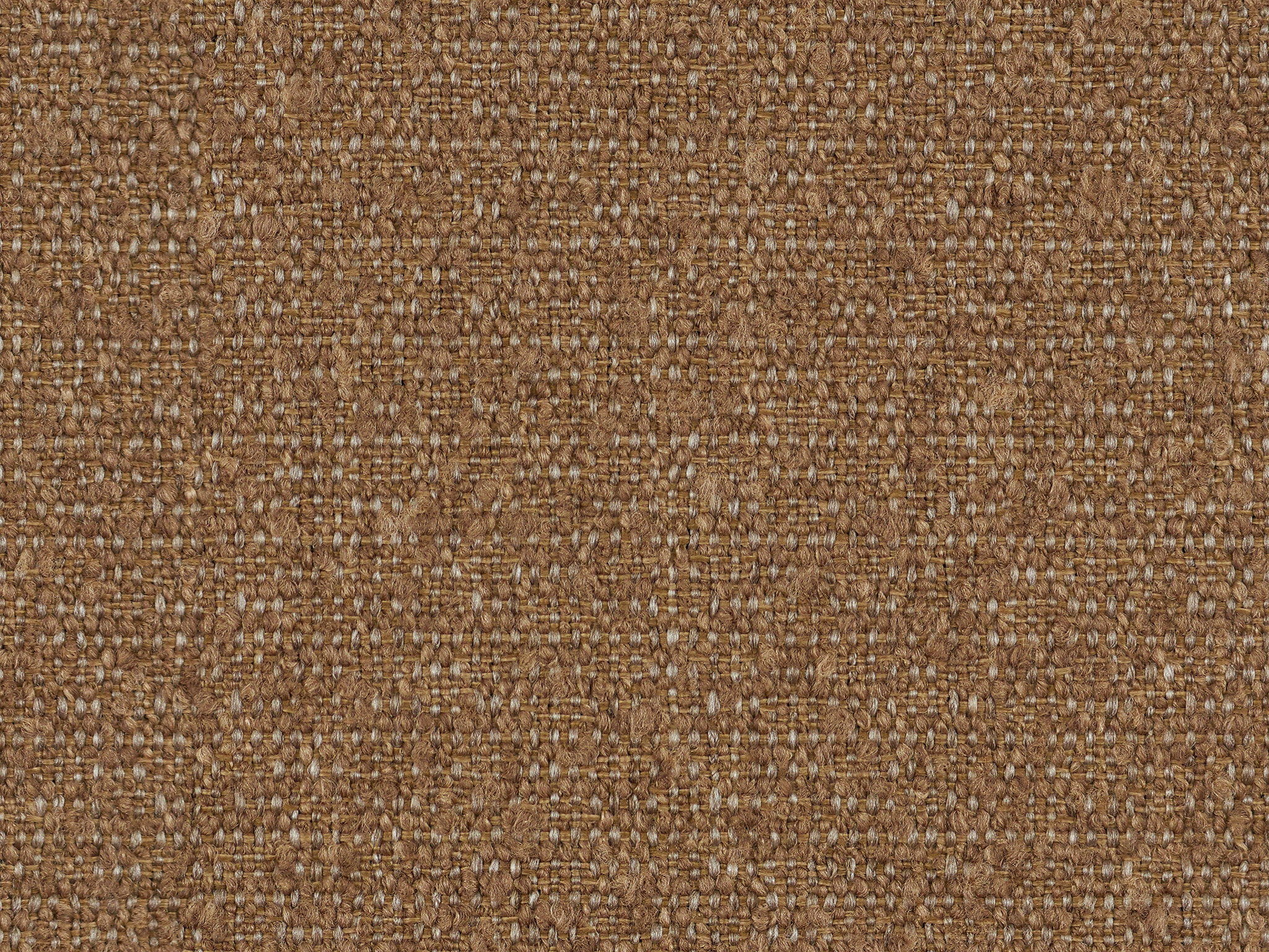   25026