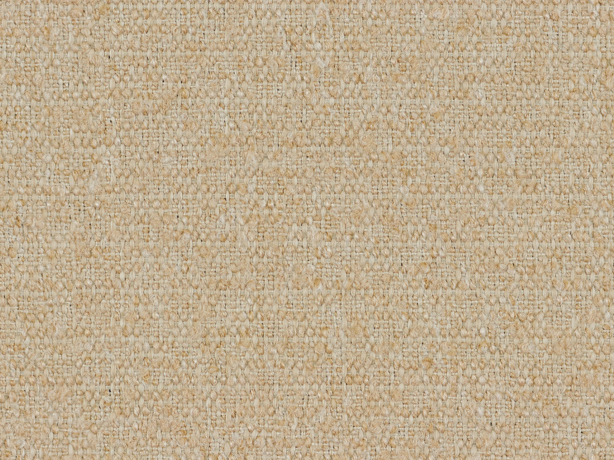   25029