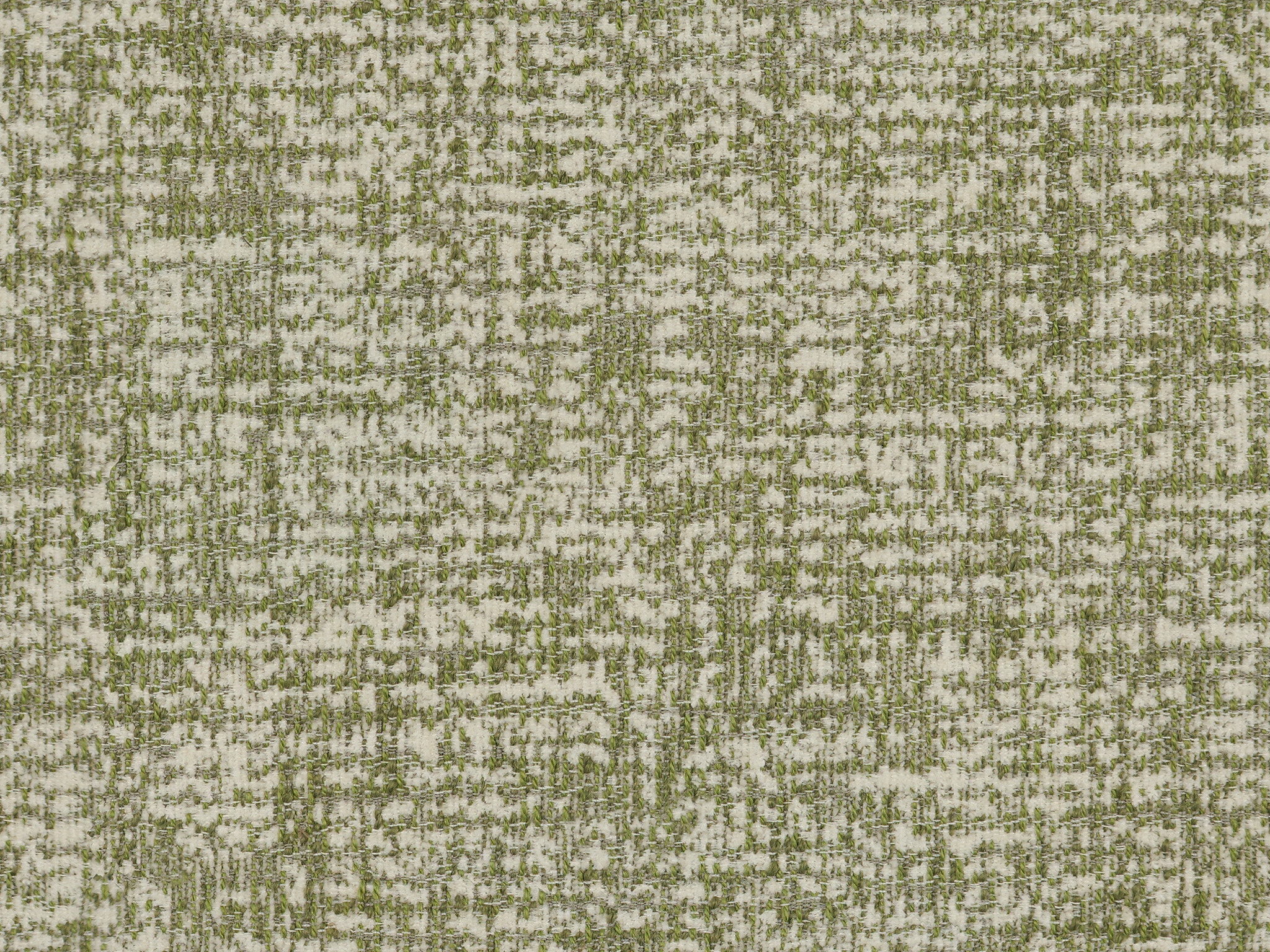   25501