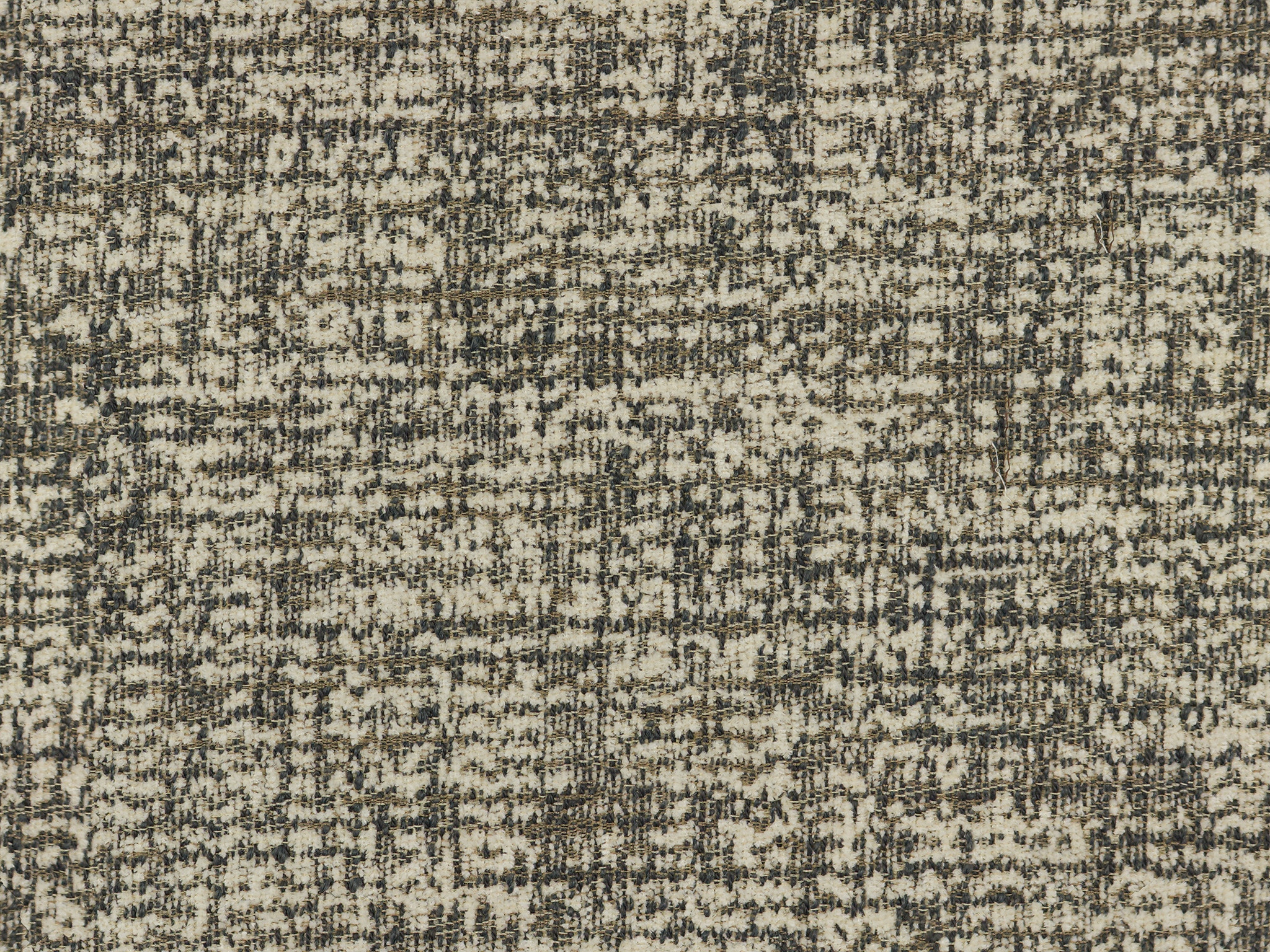   25503