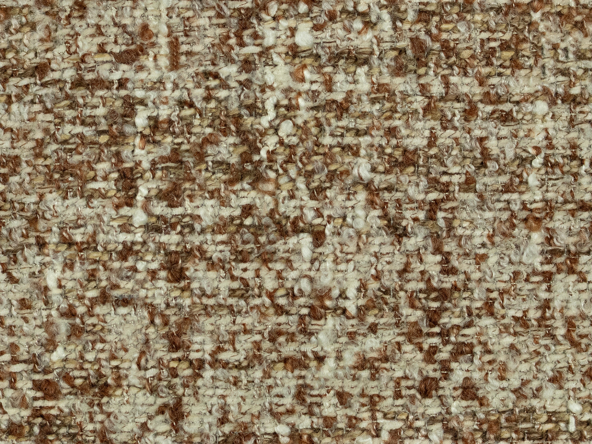   25534