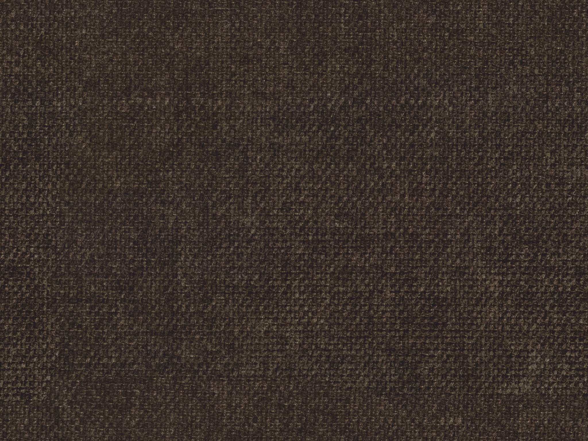   25606