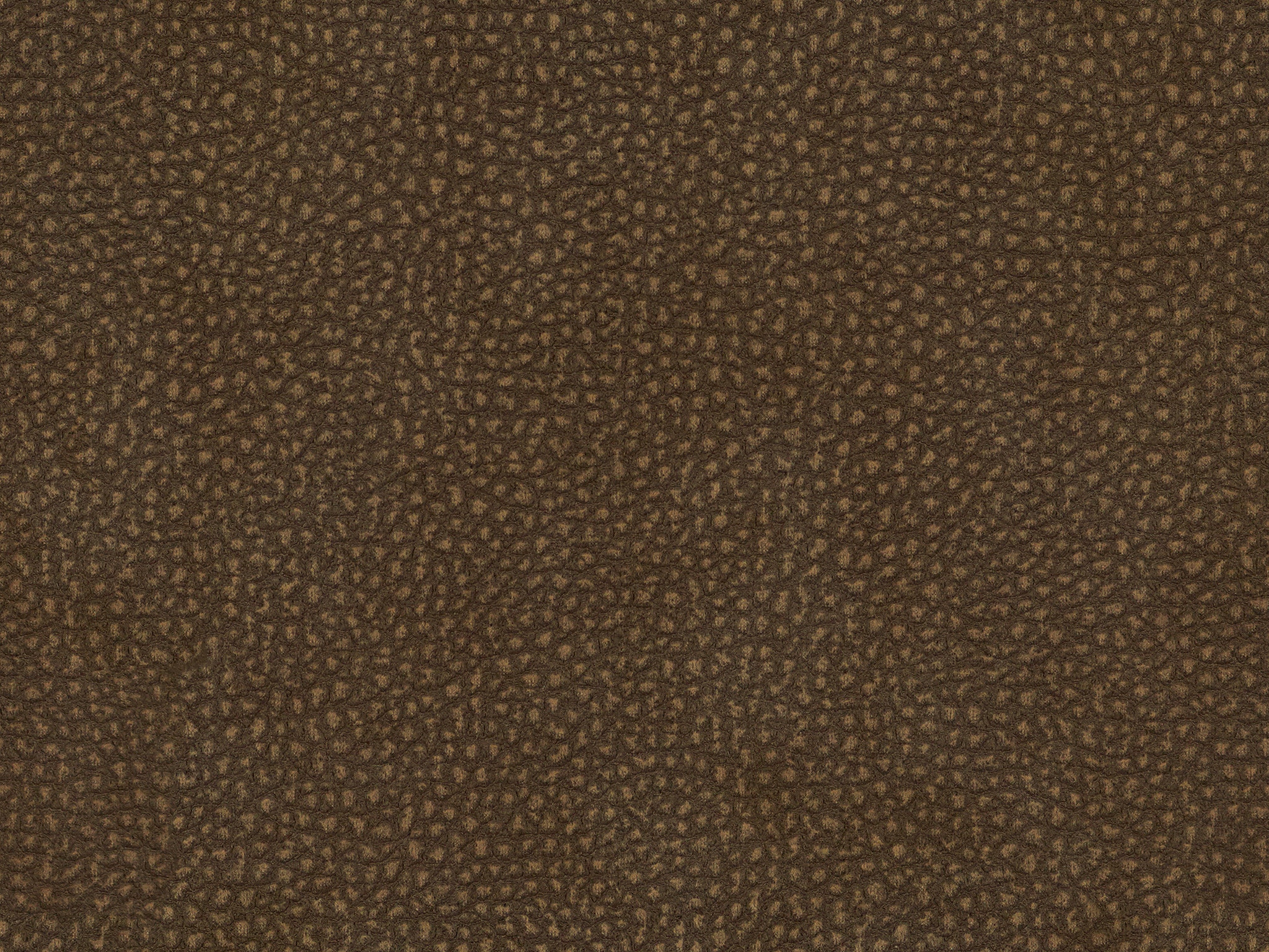   25806