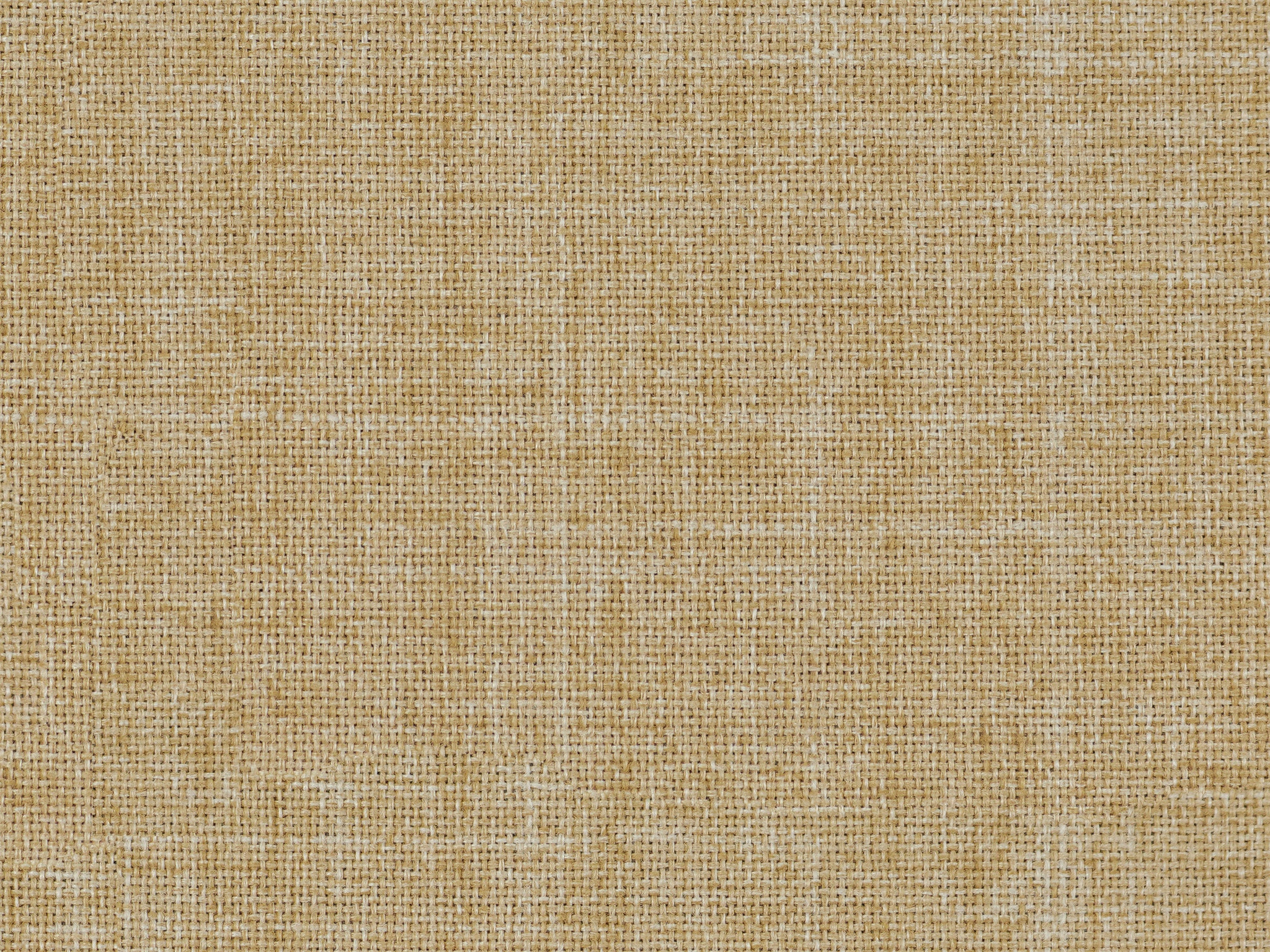   28065