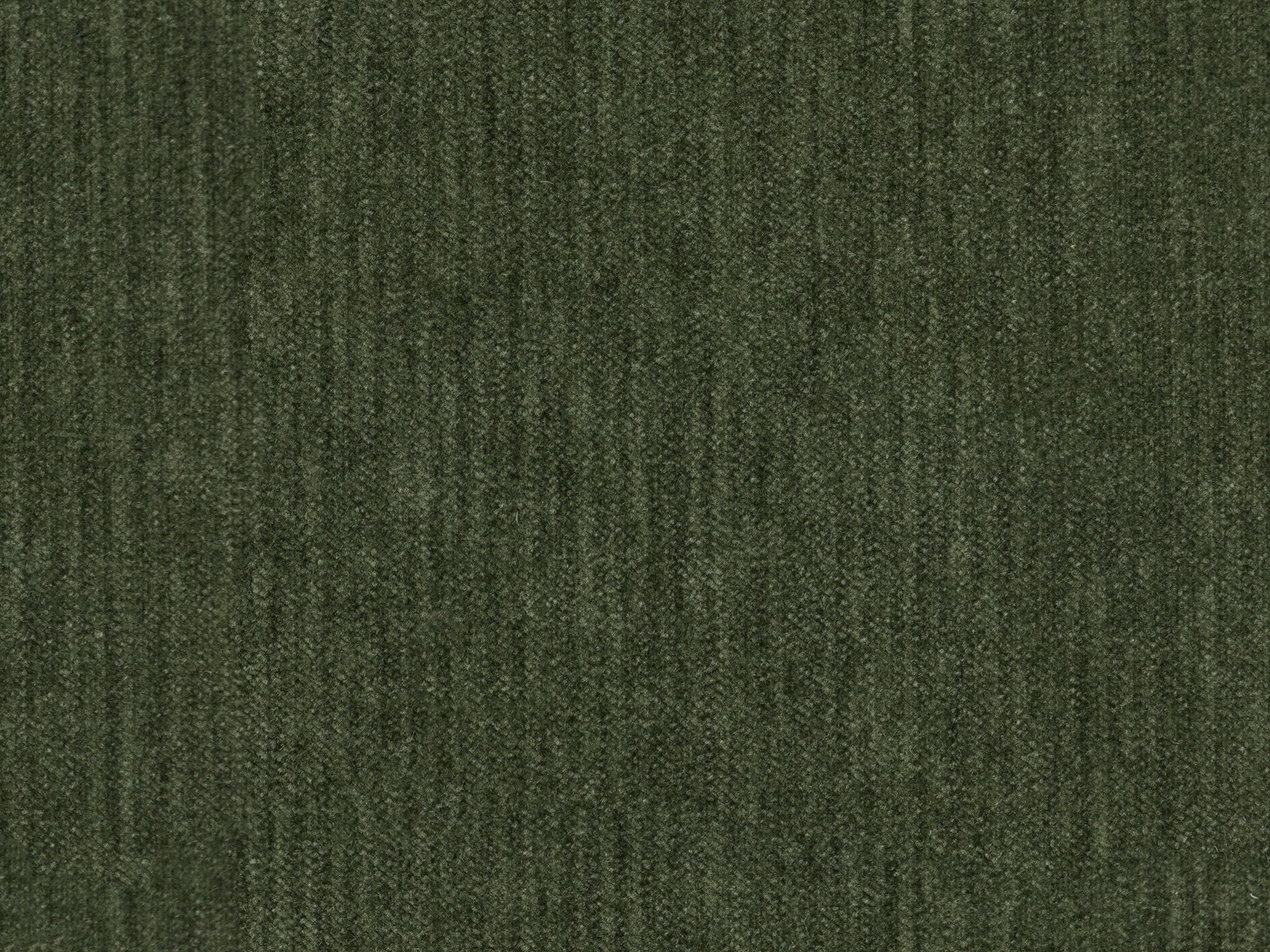 Ivy 28651B