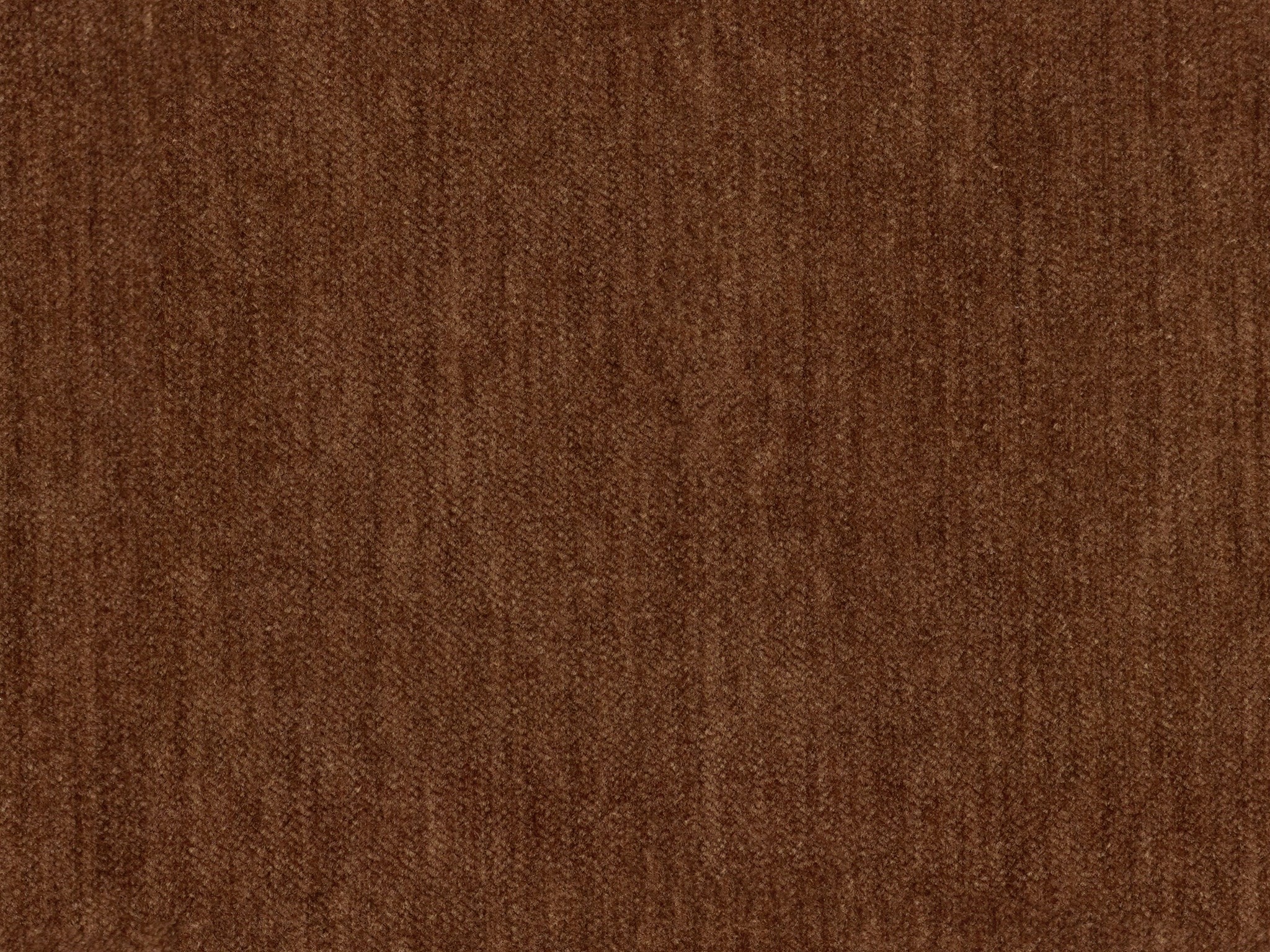 Tabasco 28654