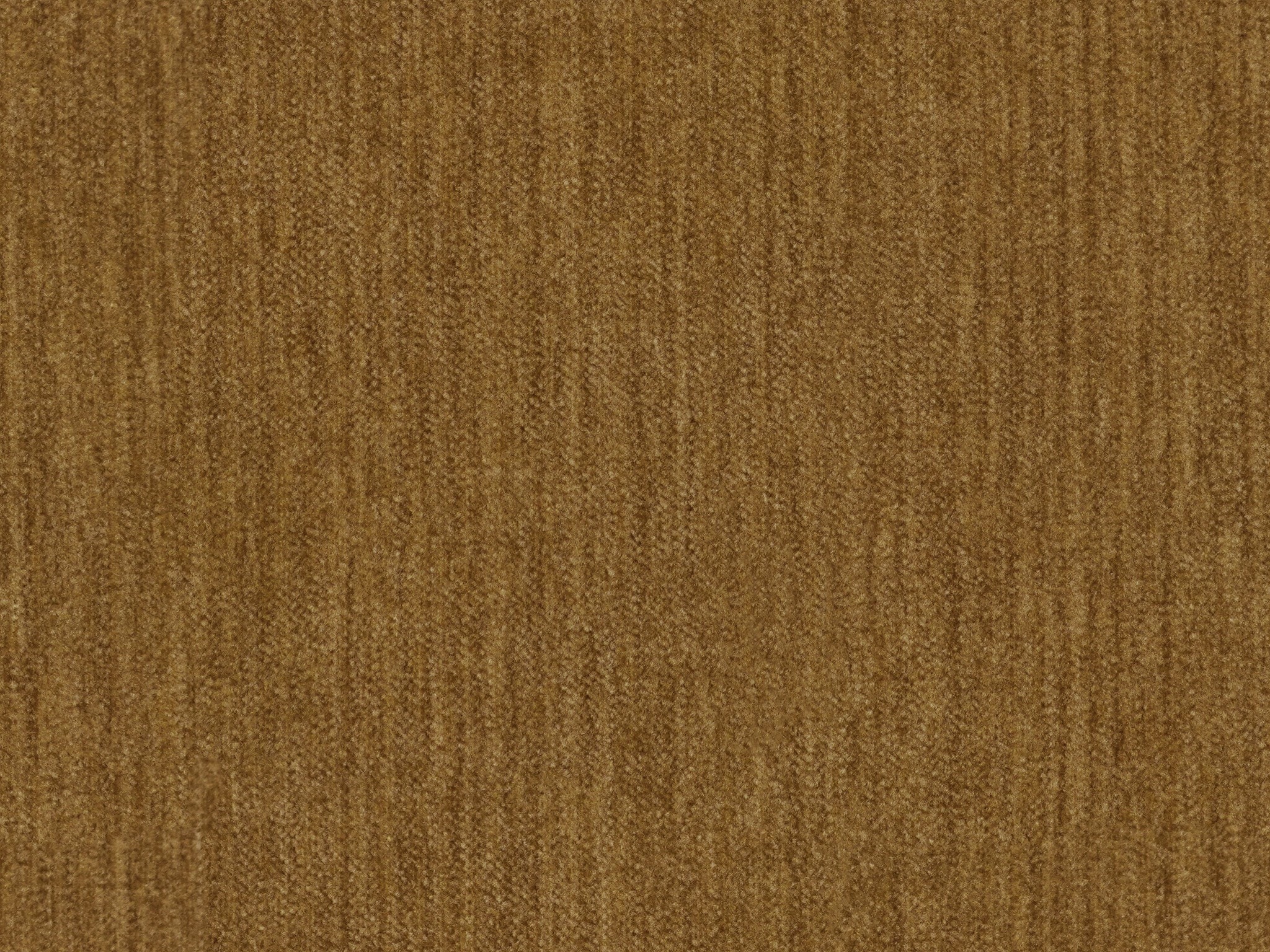 Hazel 28655