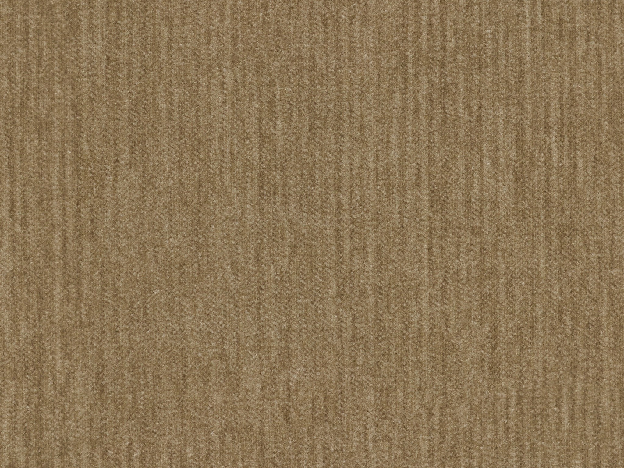 Wheat 28659