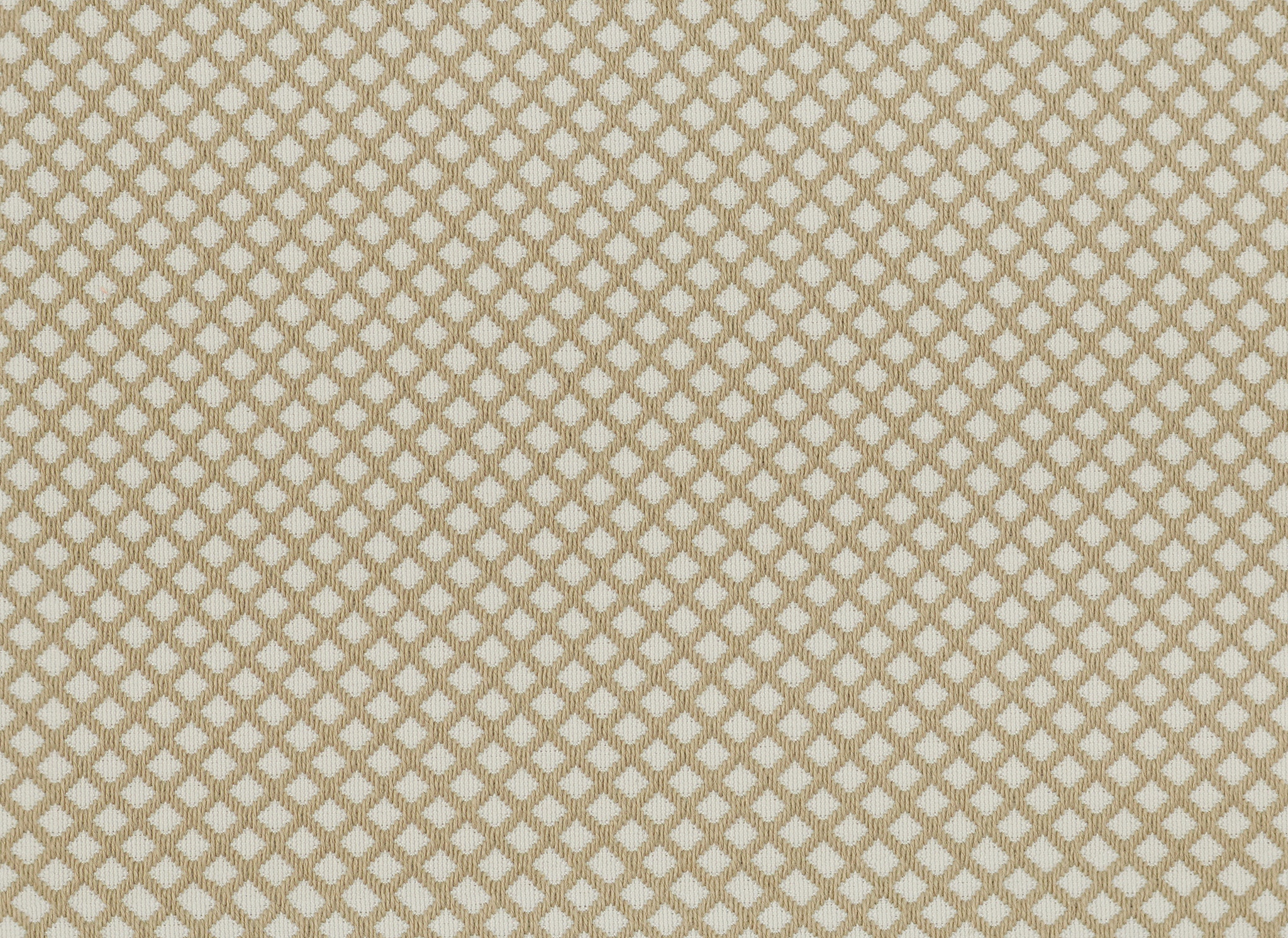   29919