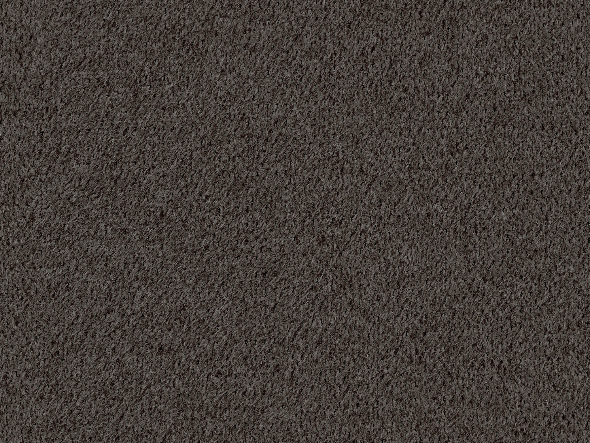 Bark 37116