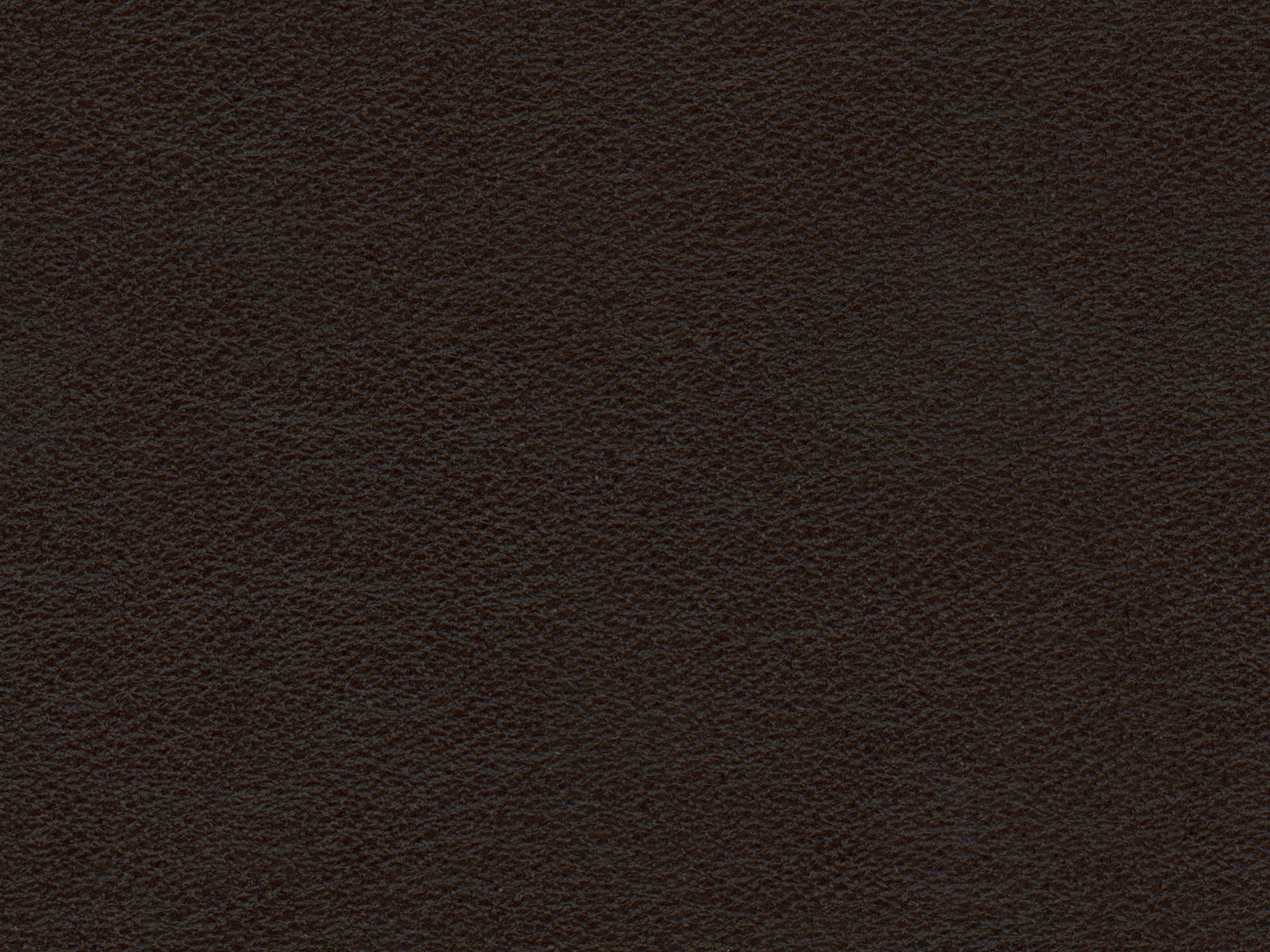 Chocolate 41366KL